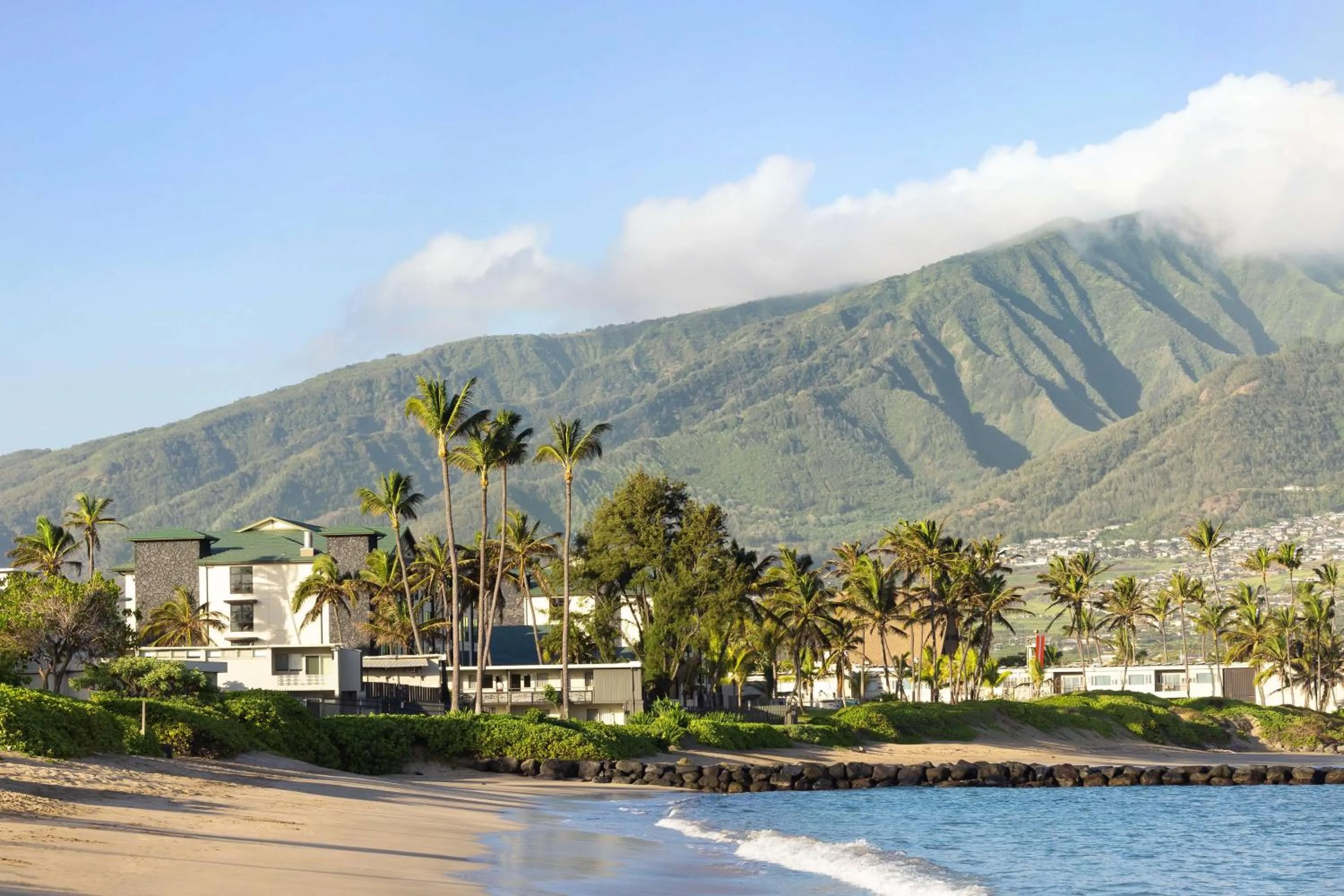 Beach in Hampton Inn & Suites Maui North Shore
