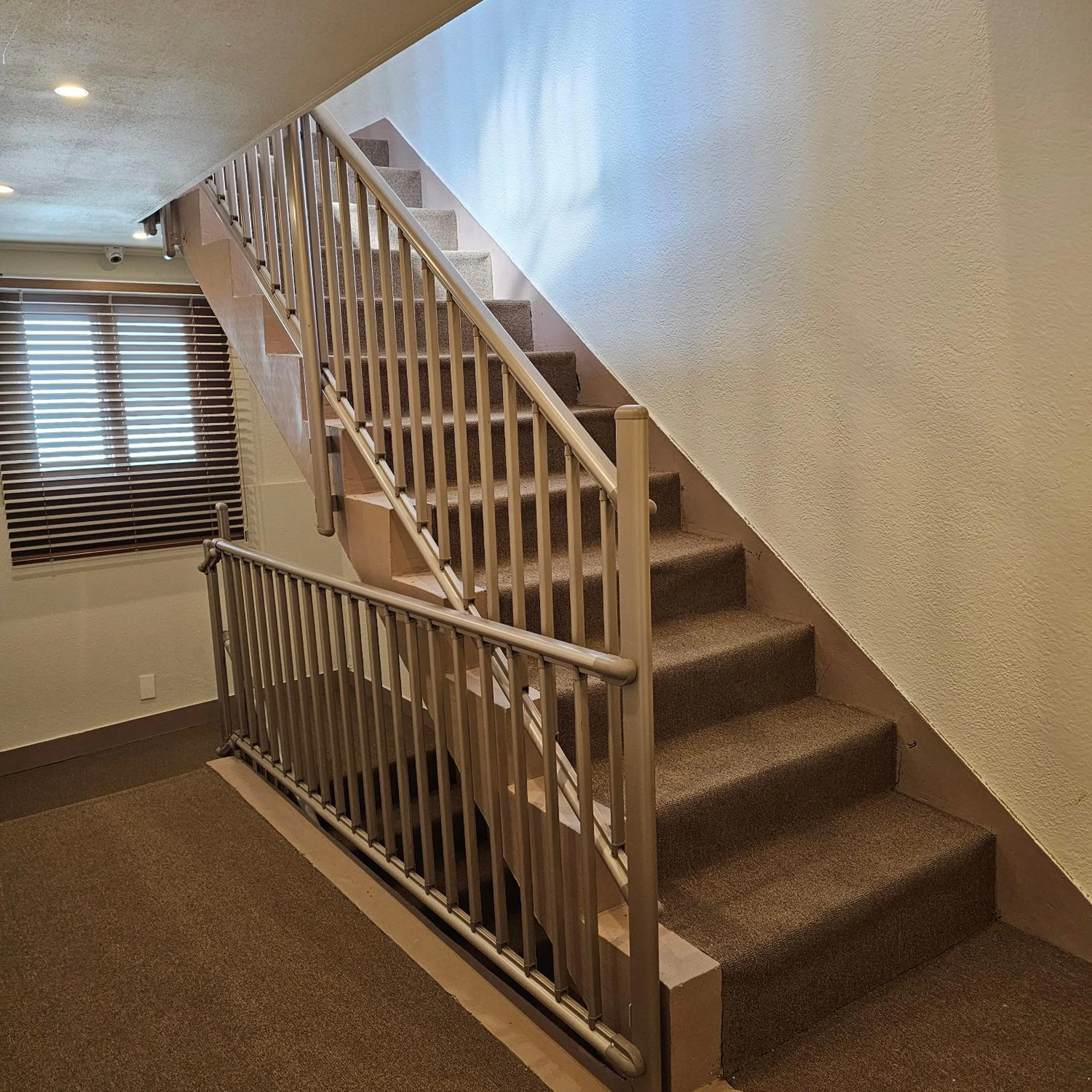 Parvus Sella Seongsu