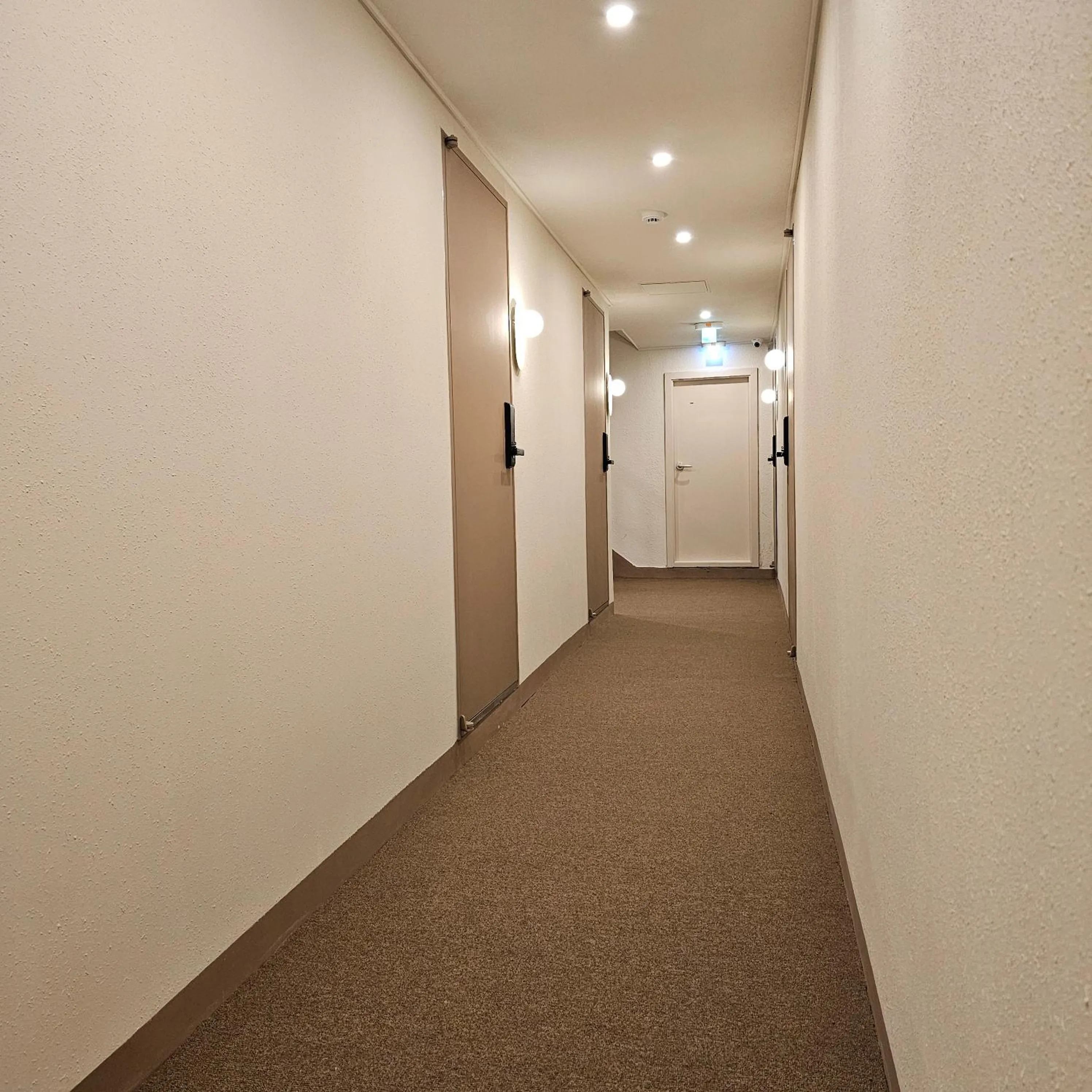 Parvus Sella Seongsu