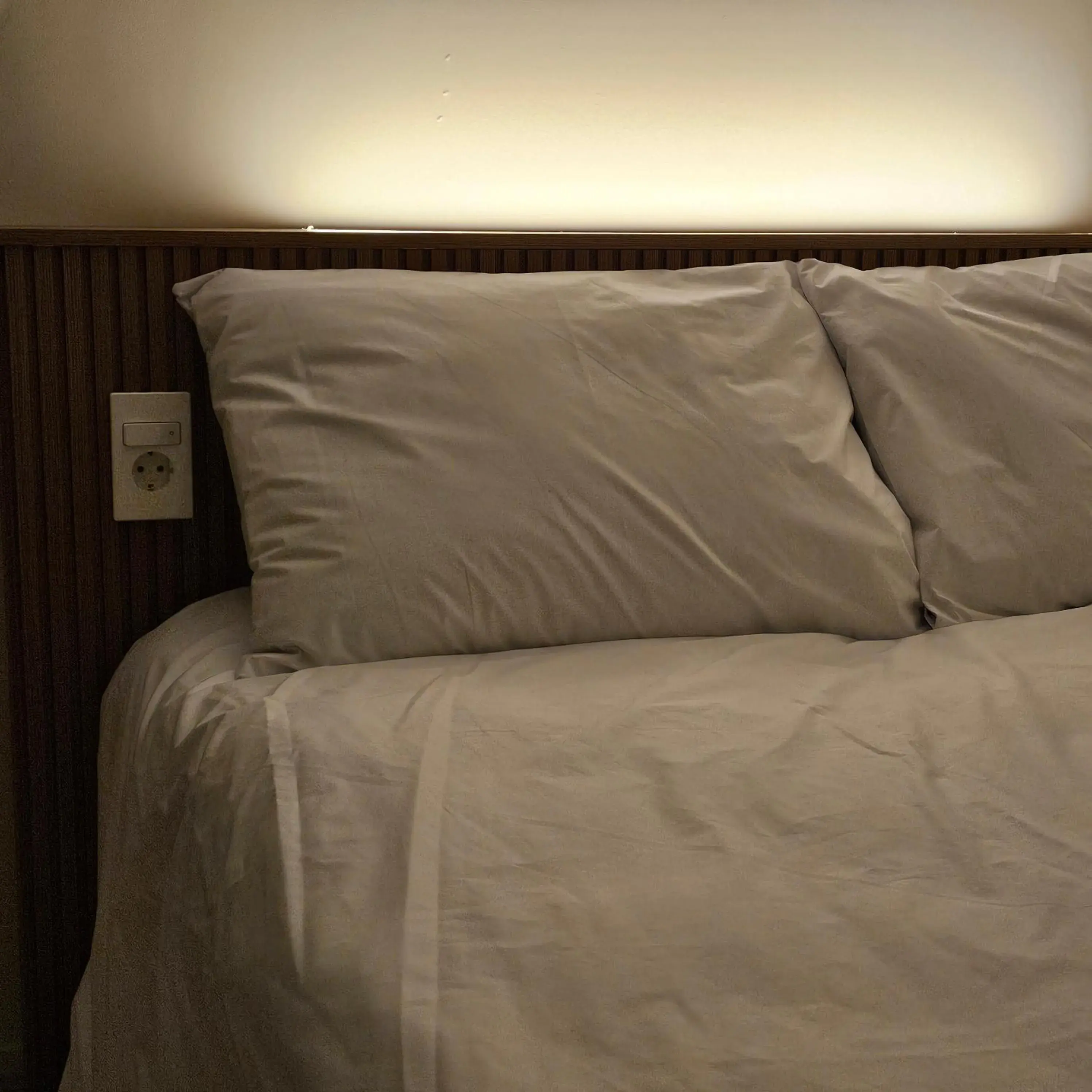 Parvus Sella Seongsu Parvus Sella Seongsu