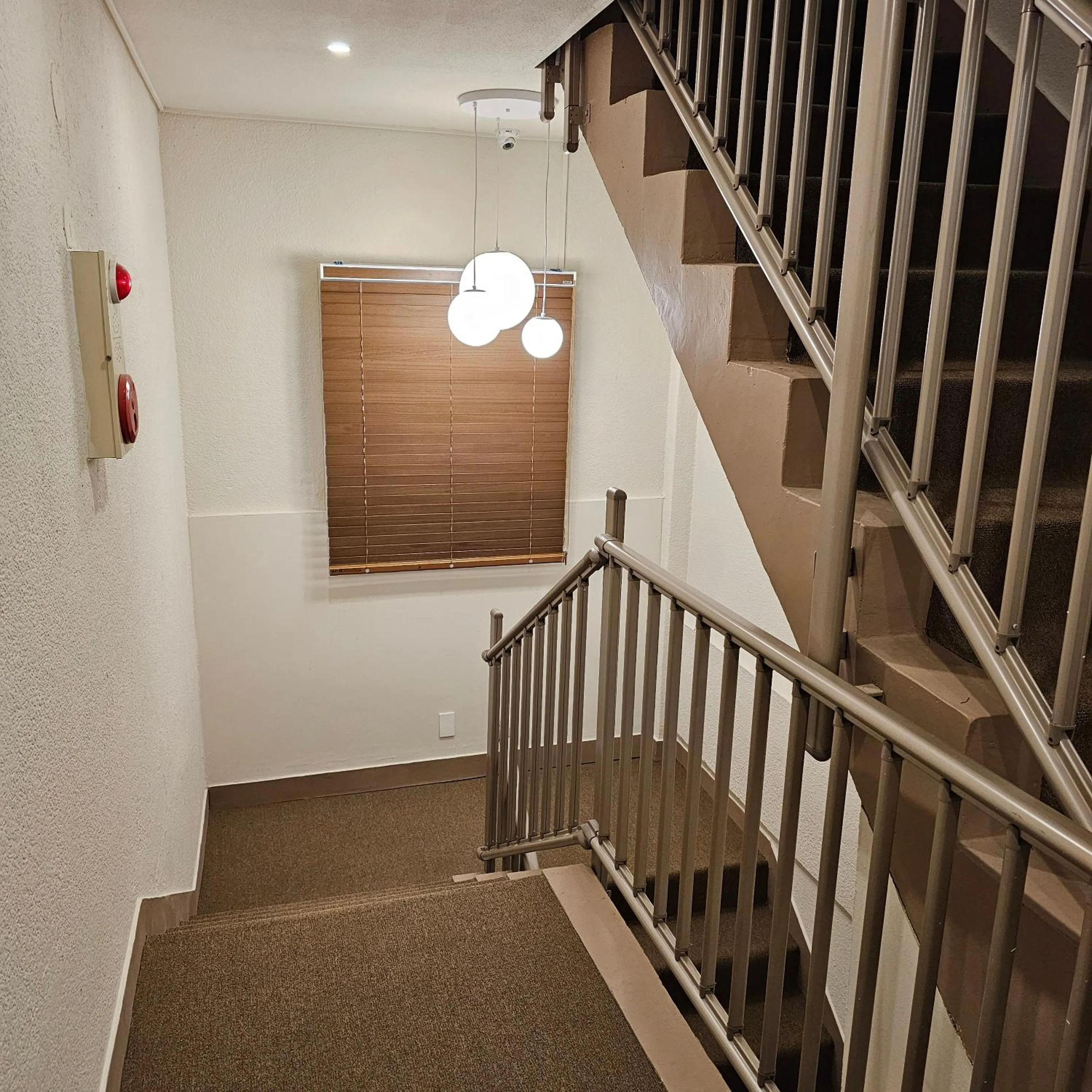 Parvus Sella Seongsu