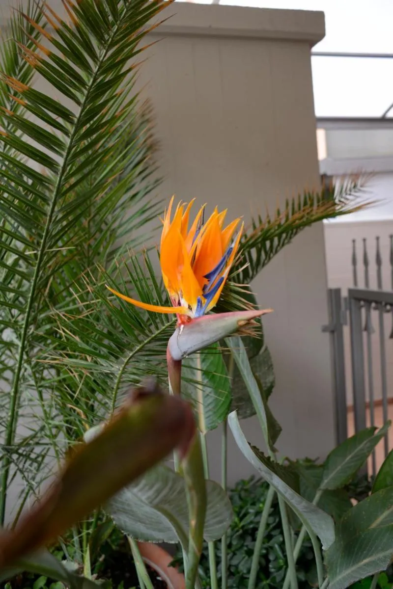 Decorative detail in Mediterranea Sea House
