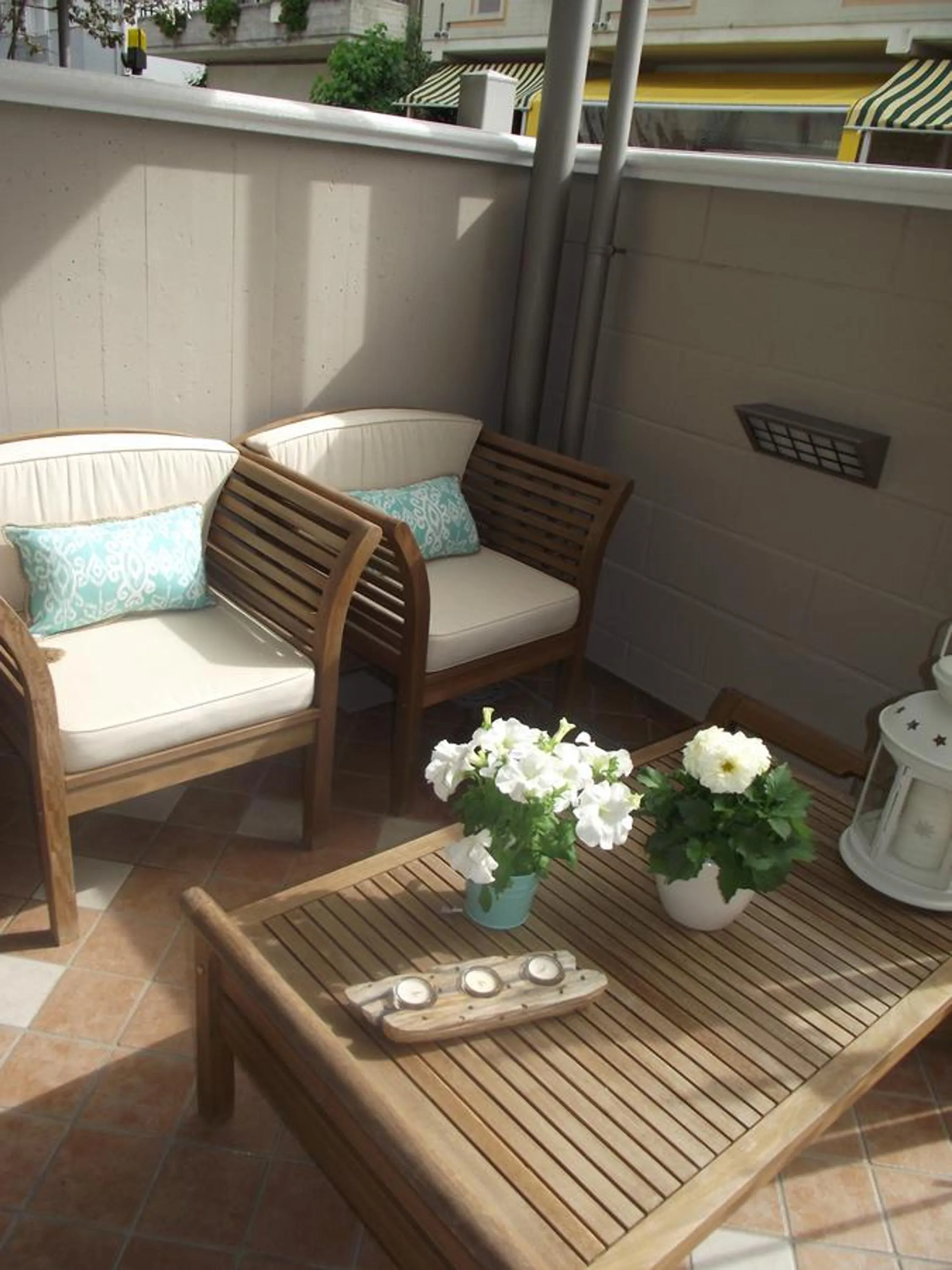 Garden in Mediterranea Sea House