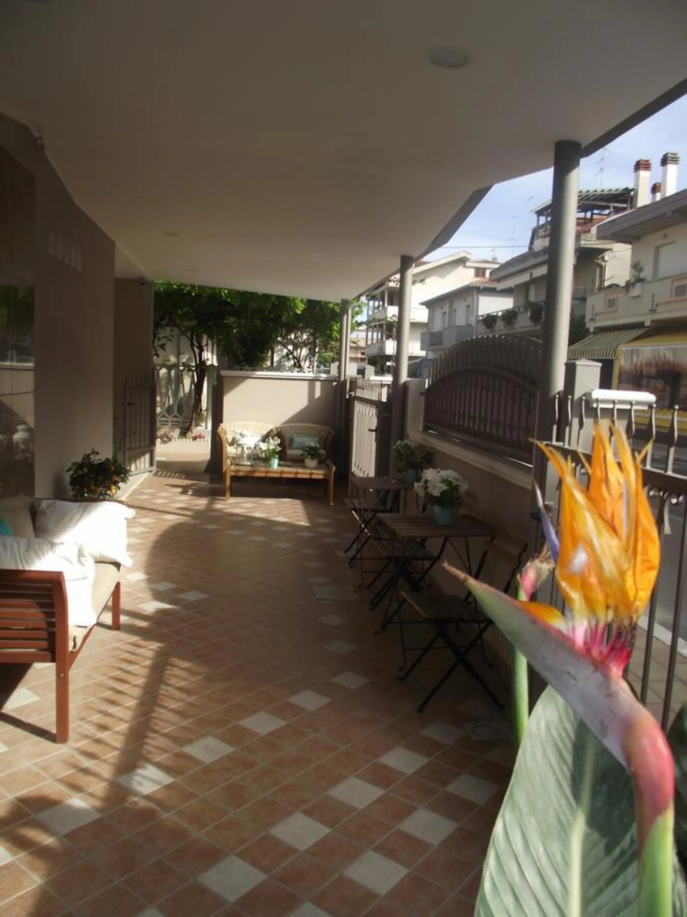 Garden in Mediterranea Sea House