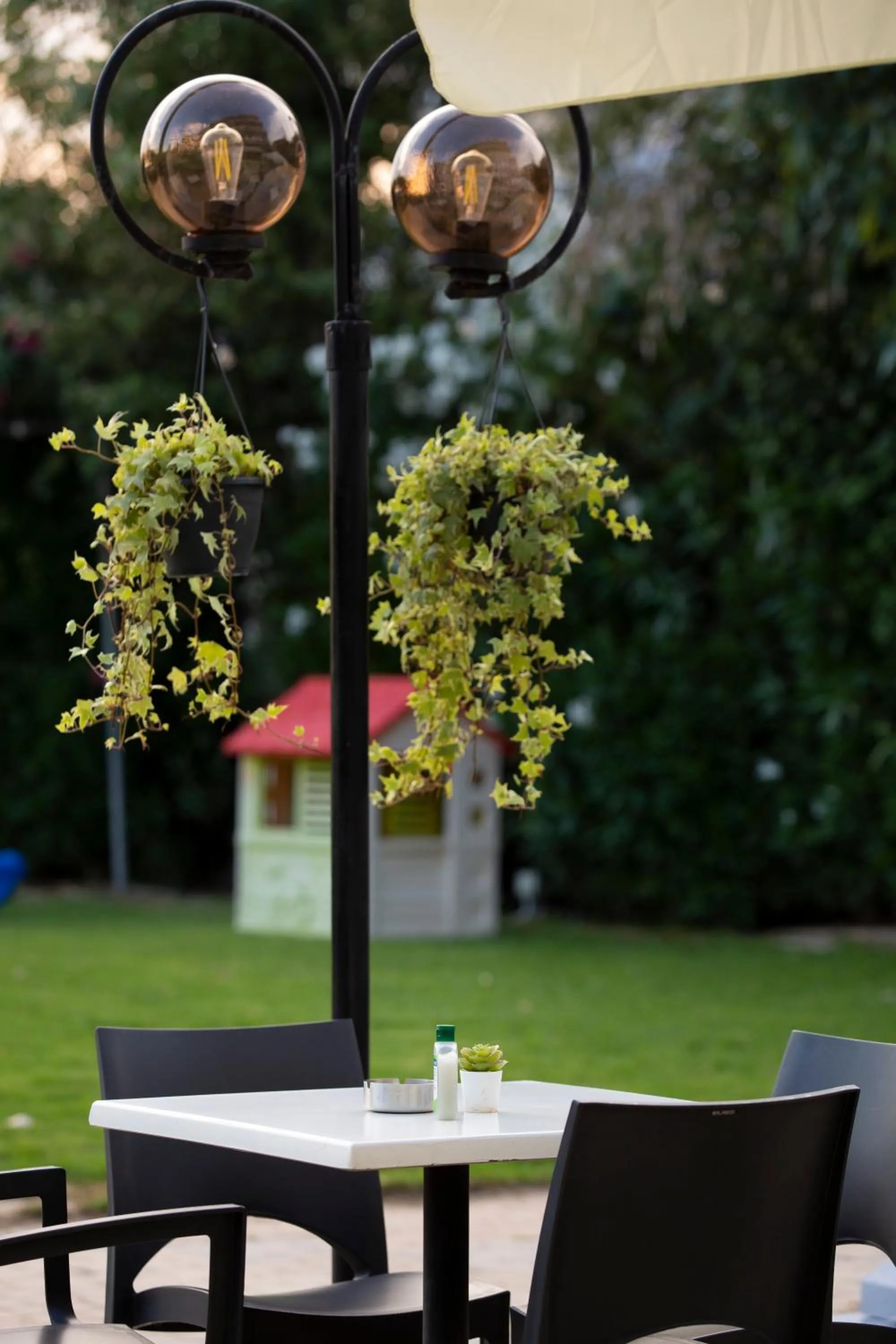 Garden in Delfini Hotel