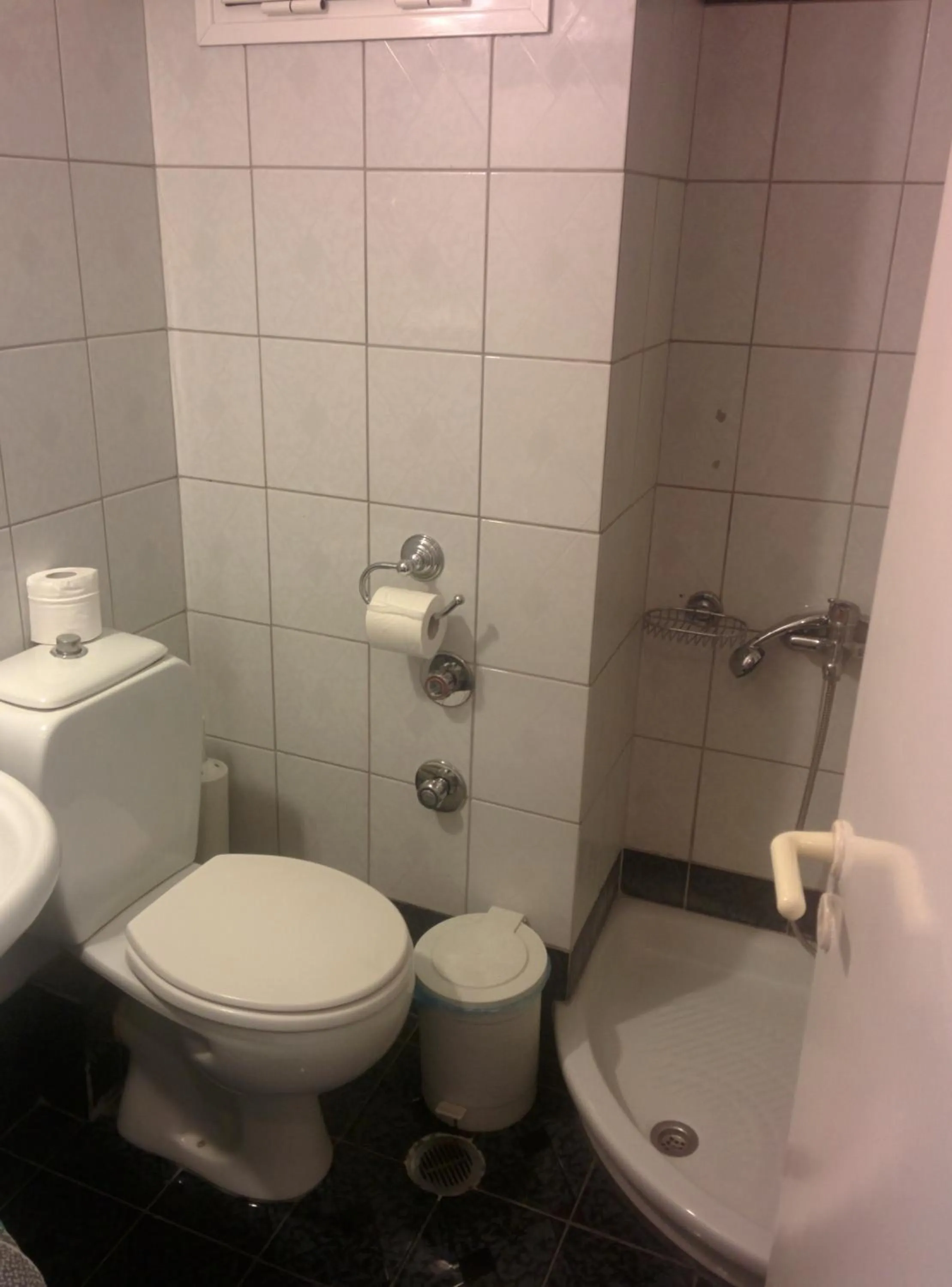 Toilet in Delfini Hotel