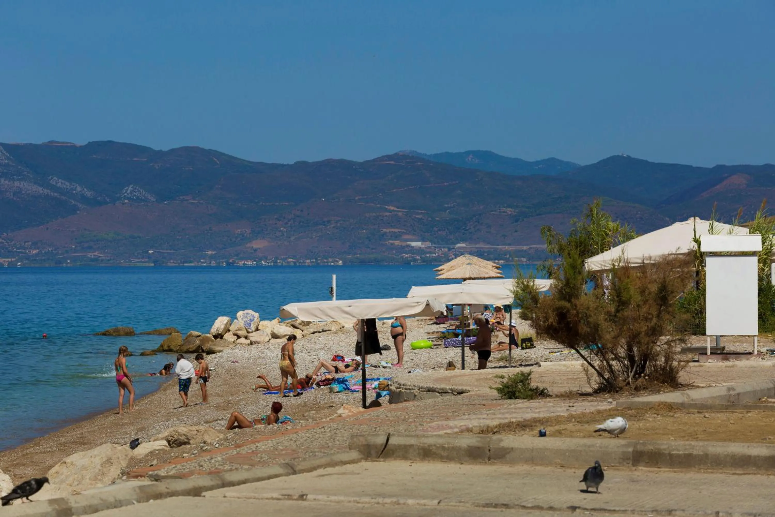 Beach in Delfini Hotel