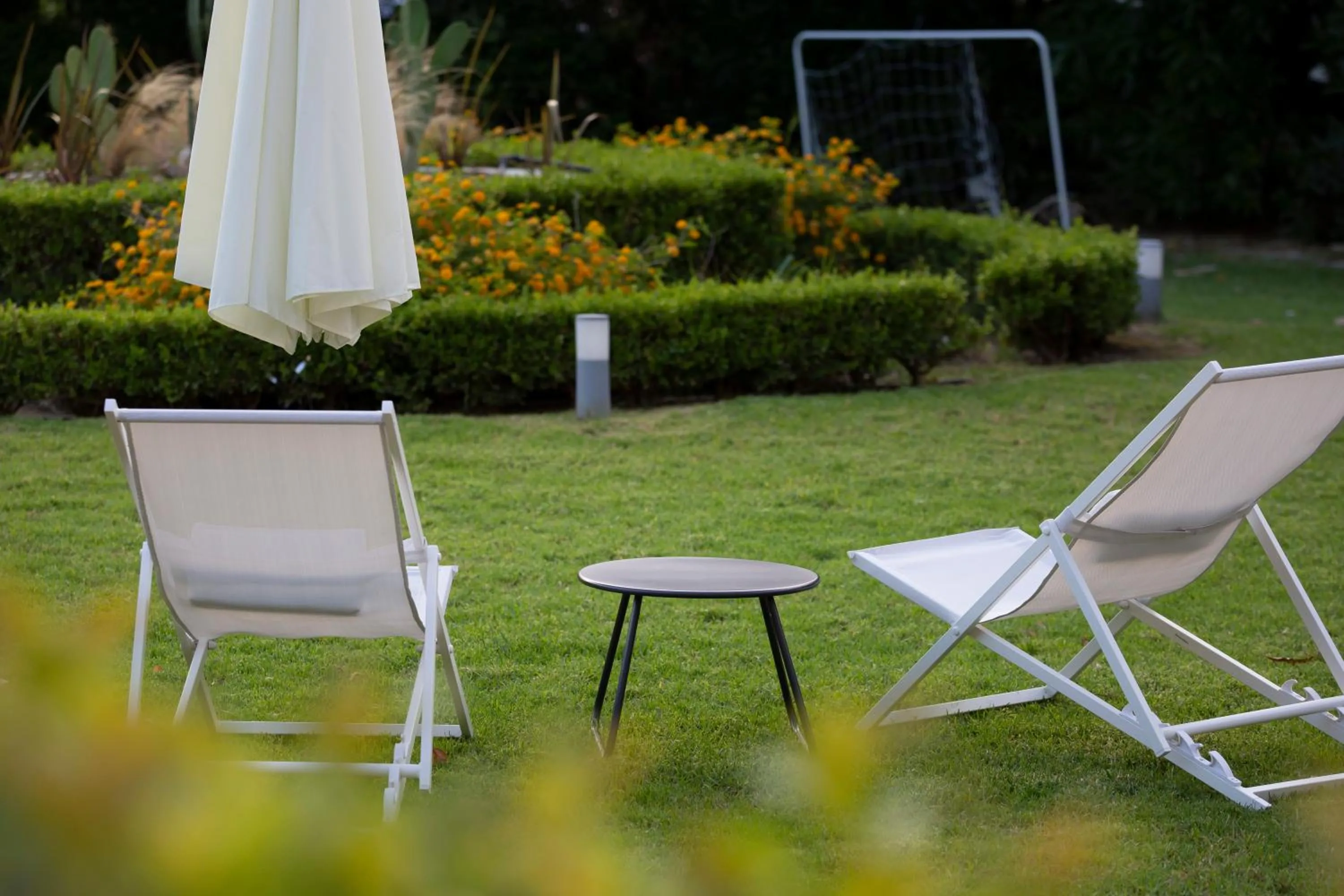 Garden in Delfini Hotel