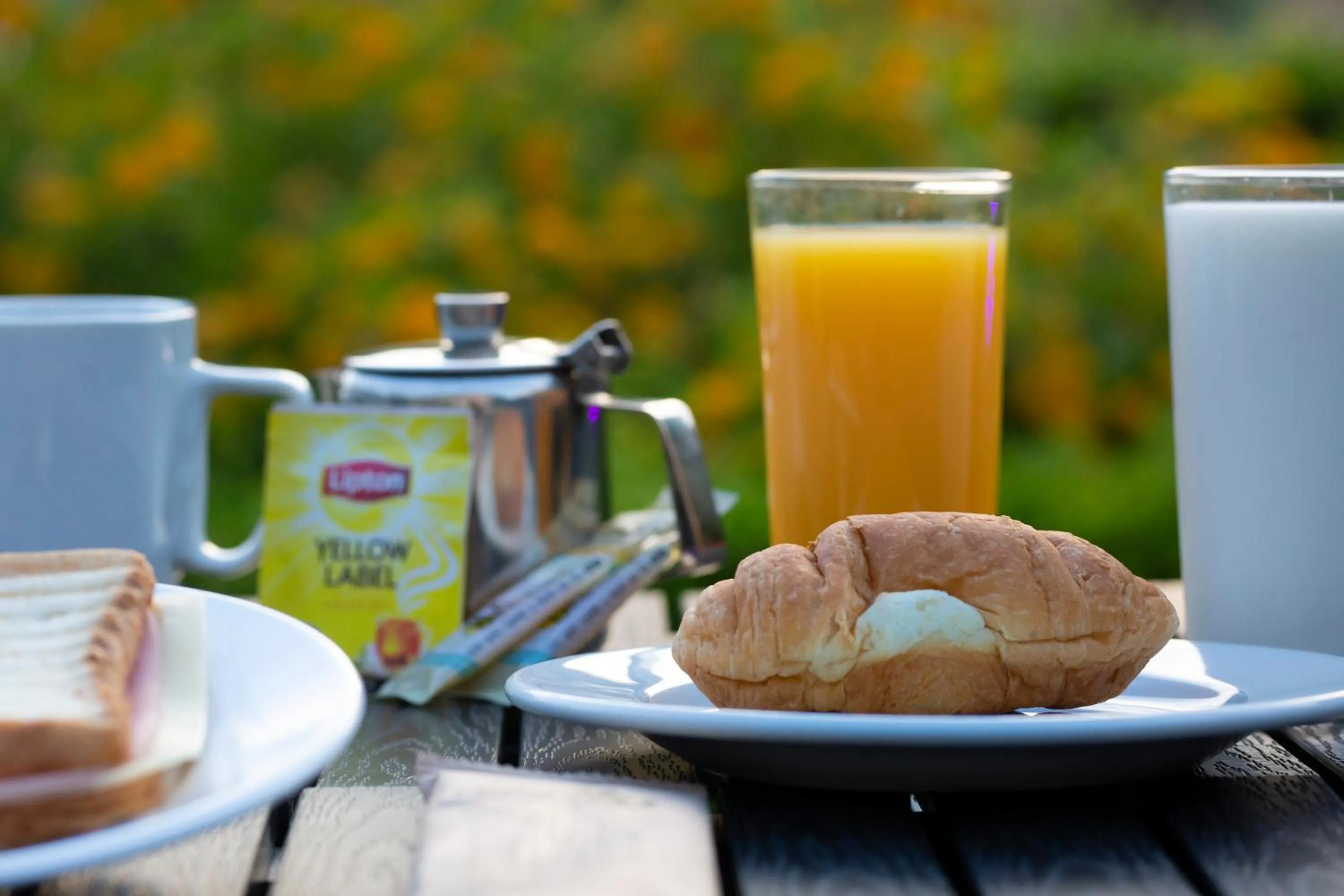 Lounge or bar in Delfini Hotel