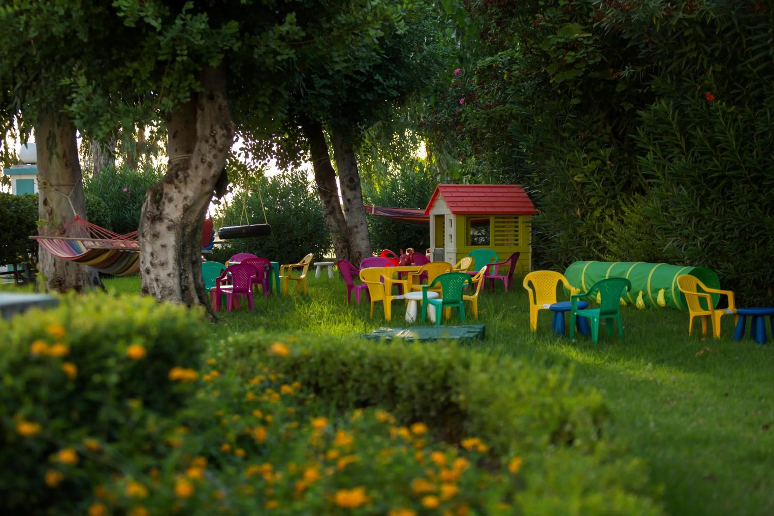 Garden in Delfini Hotel