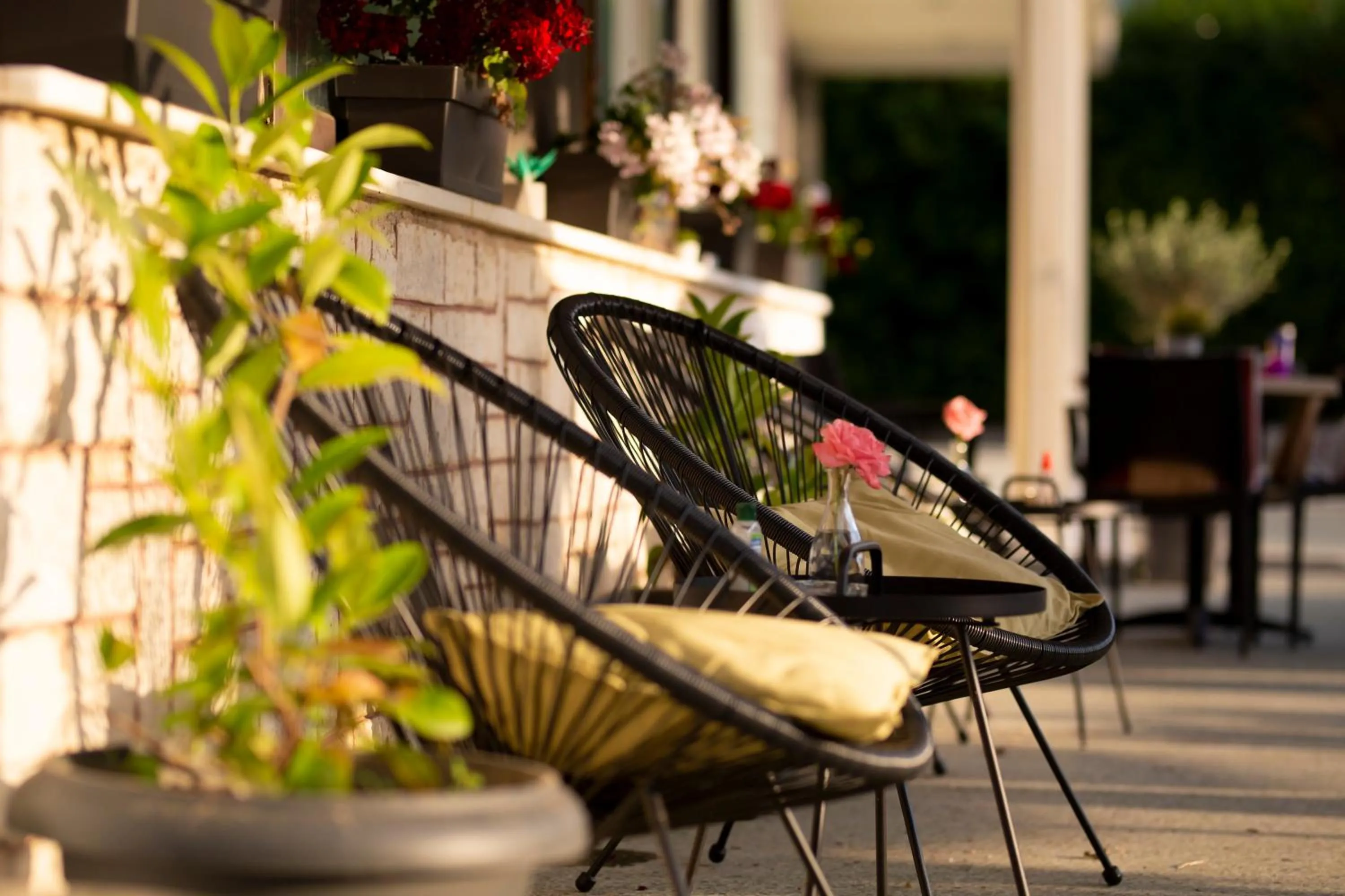 Garden in Delfini Hotel