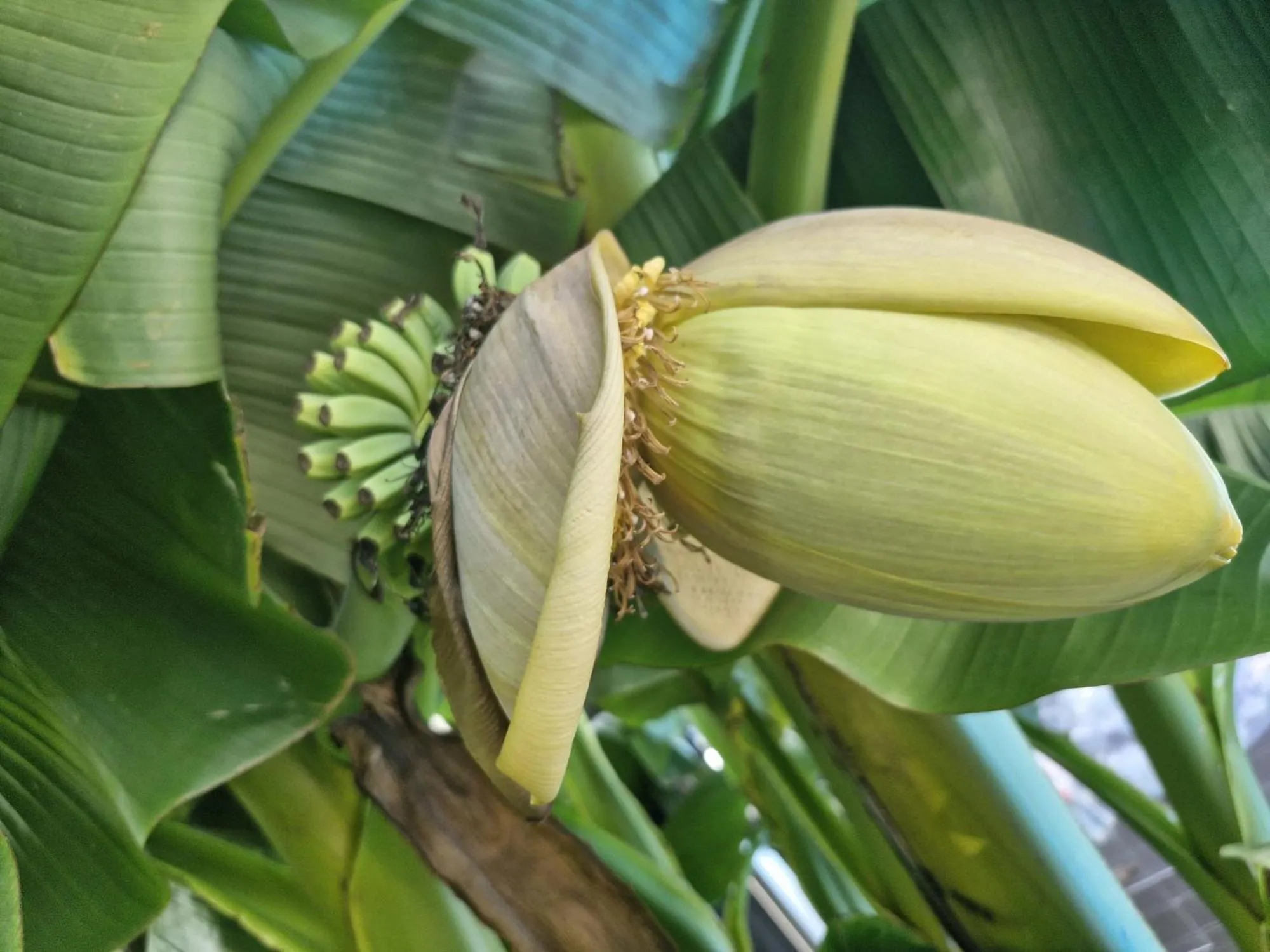 Swimming pool in Apartmenthaus Wertheim