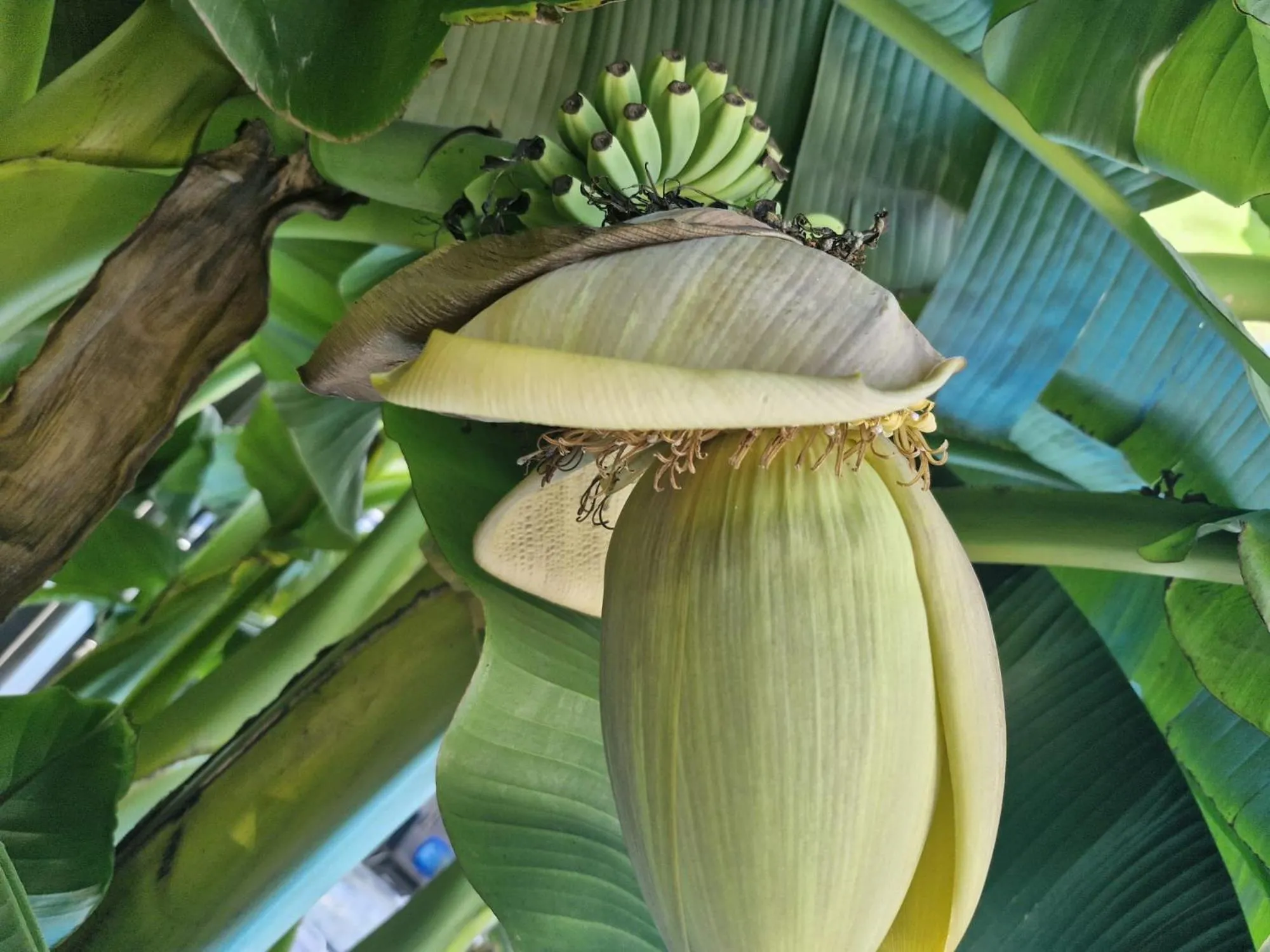 Swimming pool in Apartmenthaus Wertheim