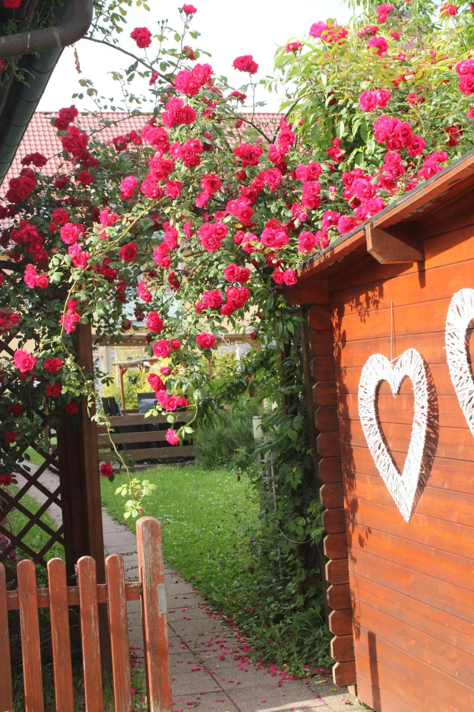 Garden in Apartmenthaus Wertheim
