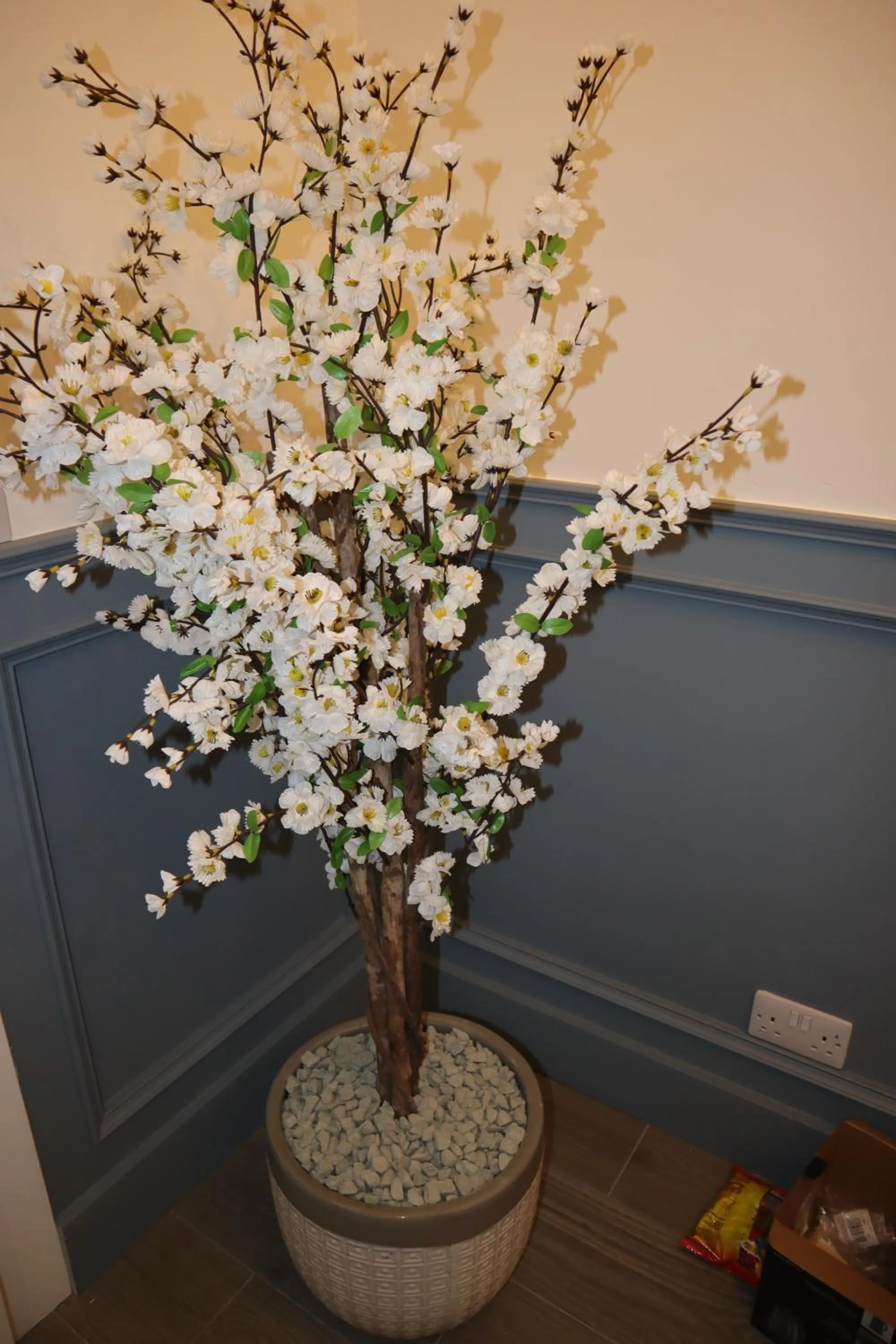 Facade/entrance in The Lodge Ballina
