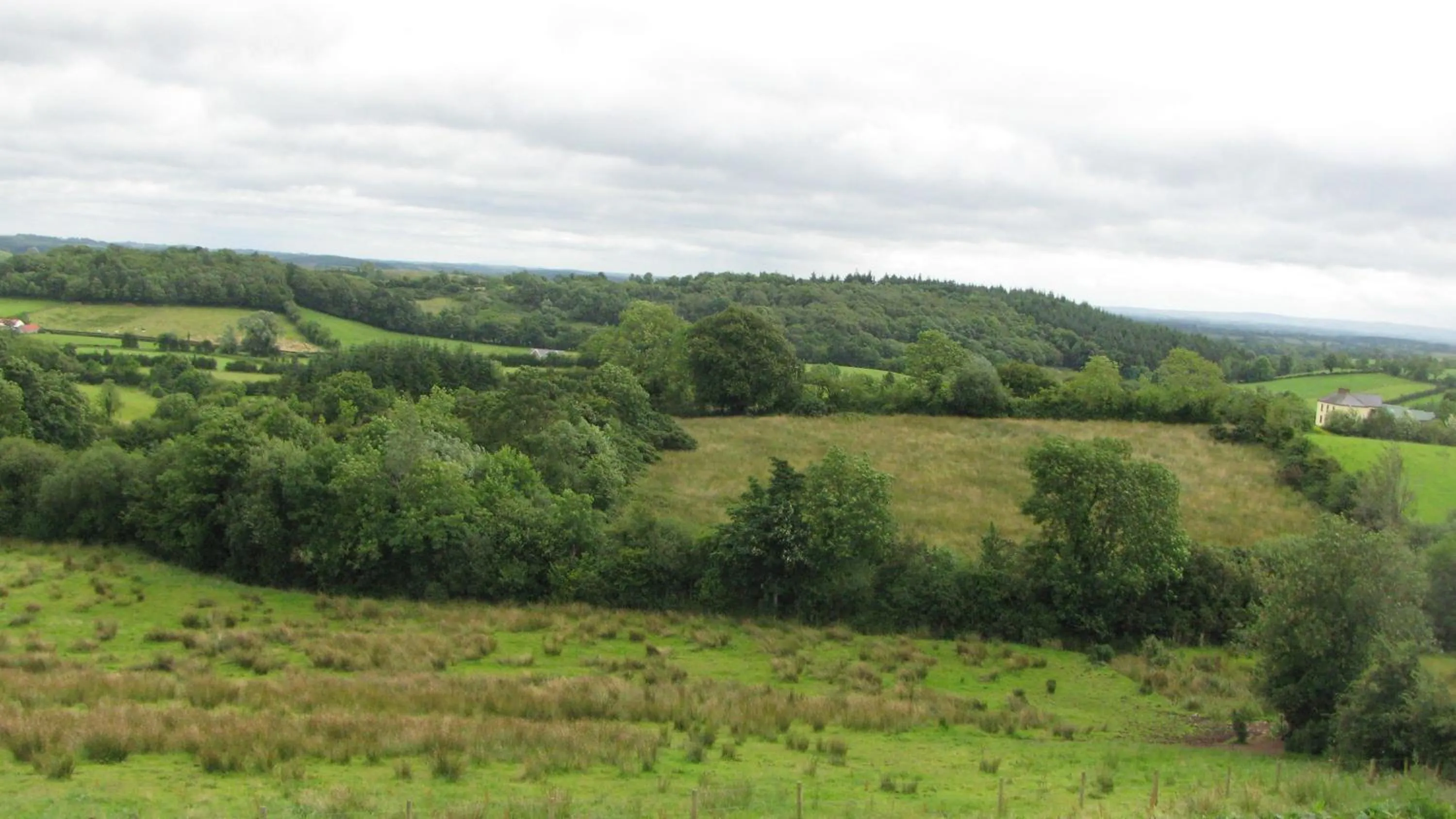 View (from property/room) in Grangeview House B&B