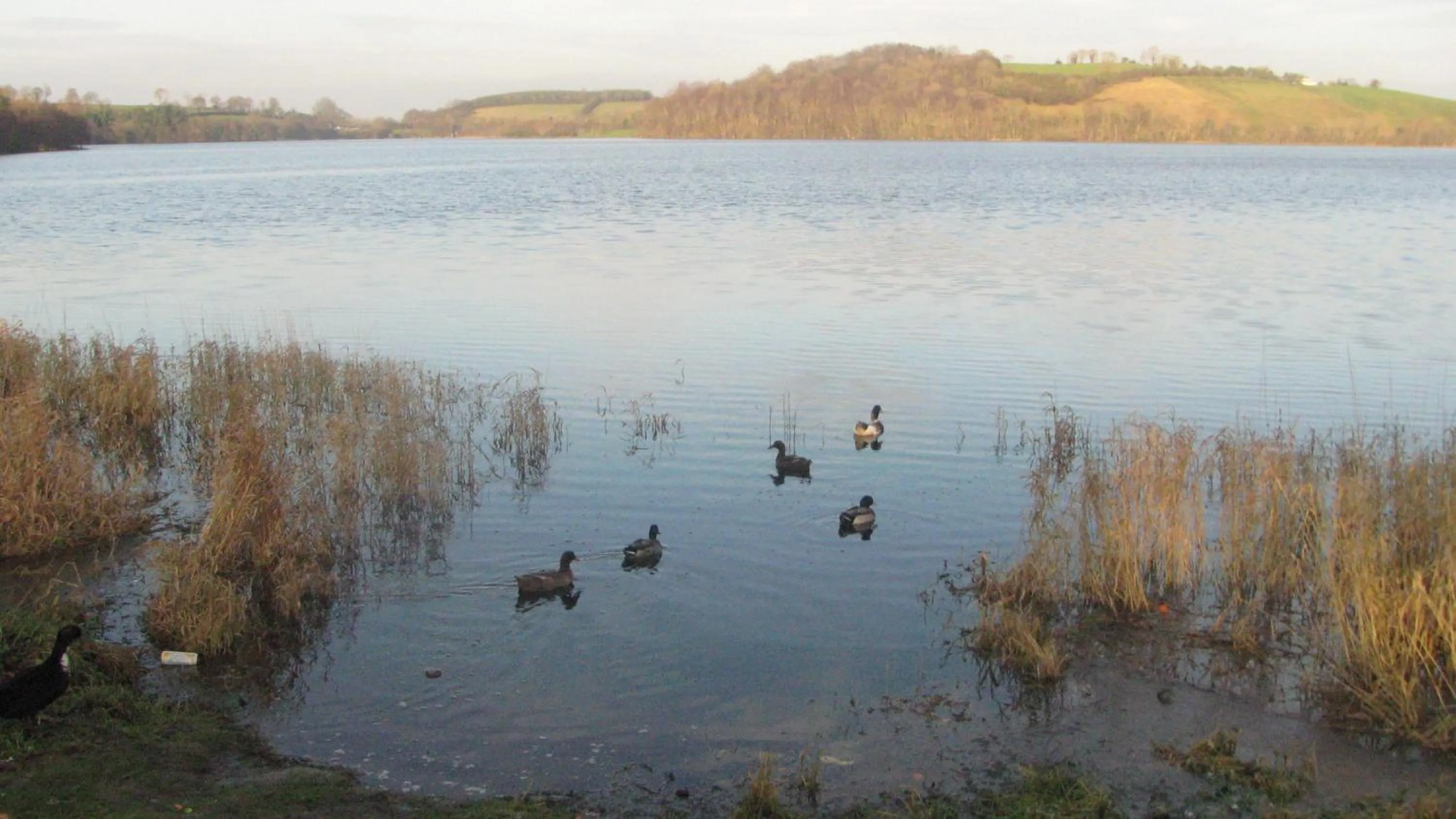 Lake view in Grangeview House B&B