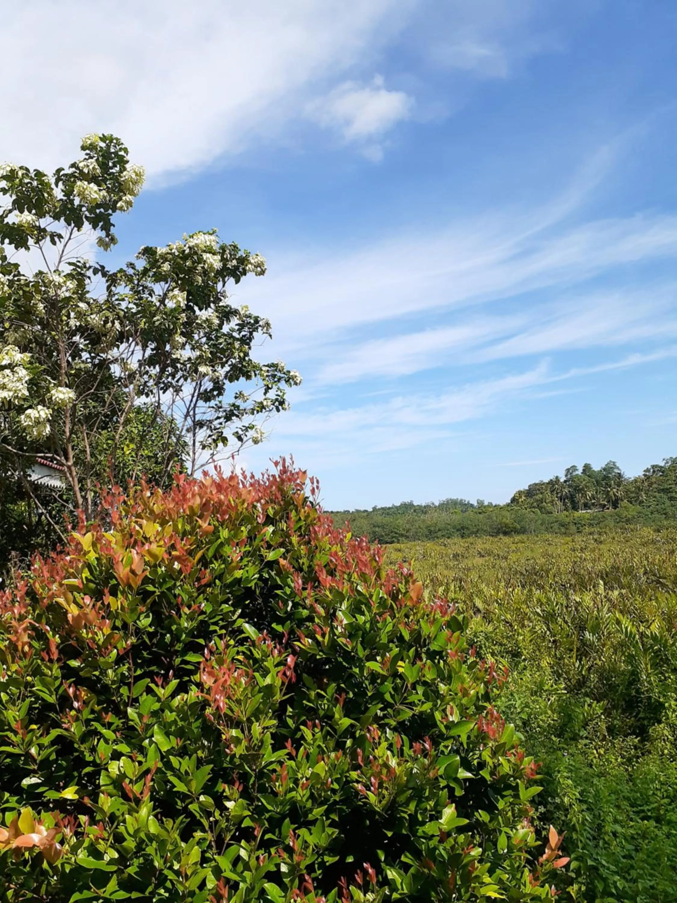 Natural landscape in Deutsche Villa