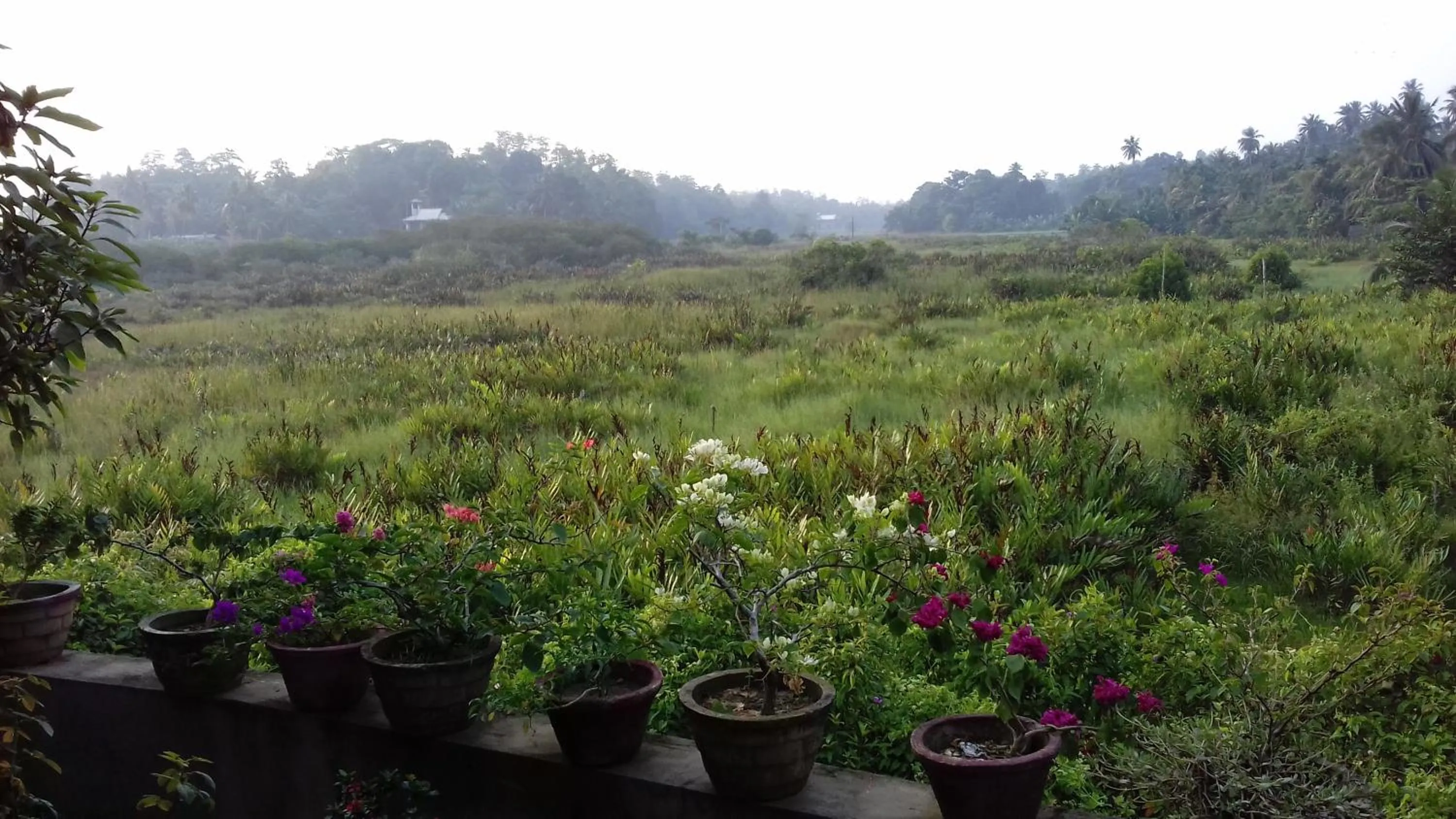 Garden view in Deutsche Villa