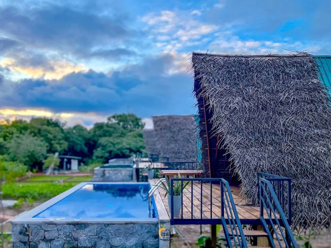 Suite with Private Pool in Habarana Tree House Ambasewana Resort