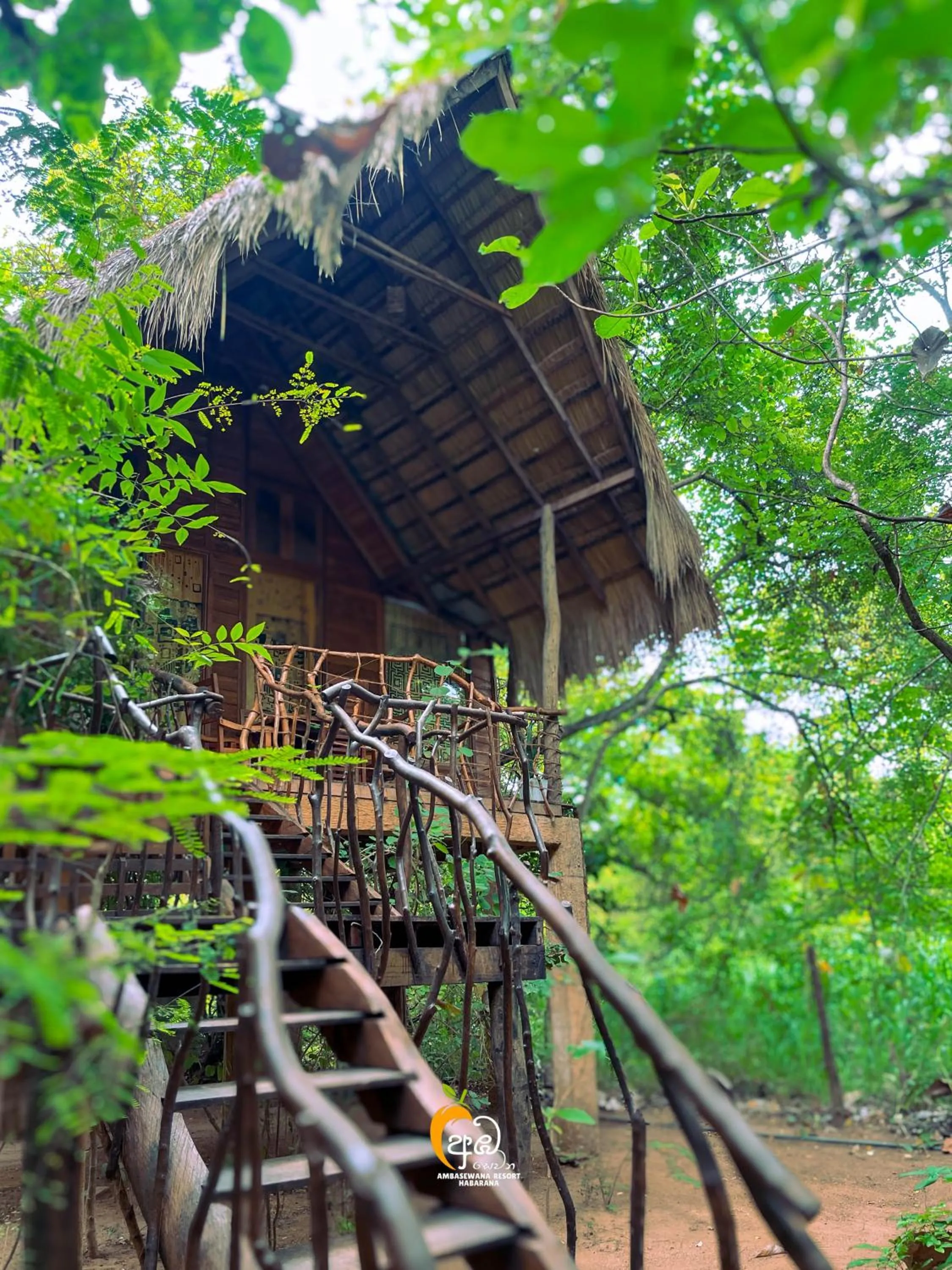 Habarana Tree House Ambasewana Resort