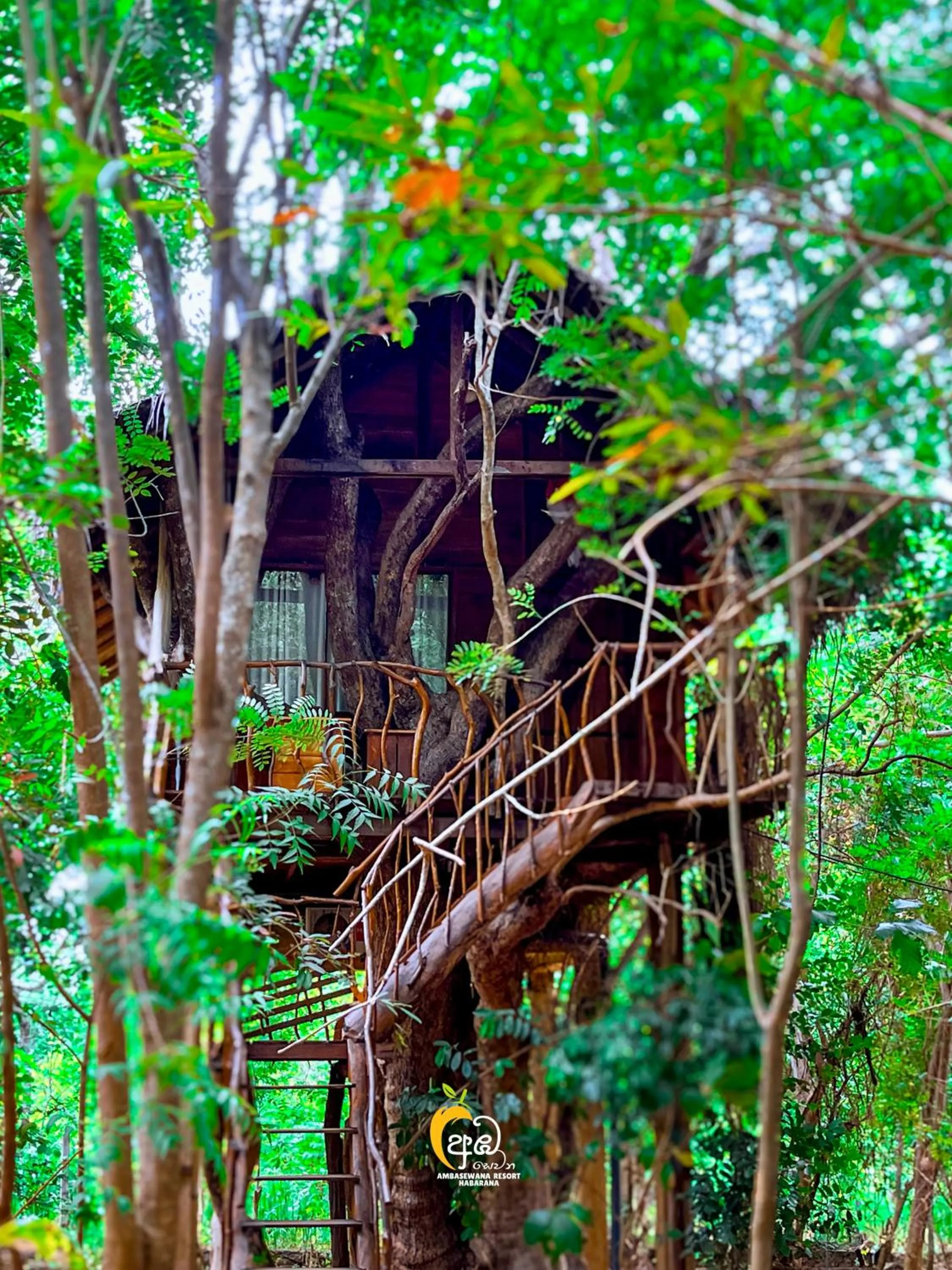 Habarana Tree House Ambasewana Resort
