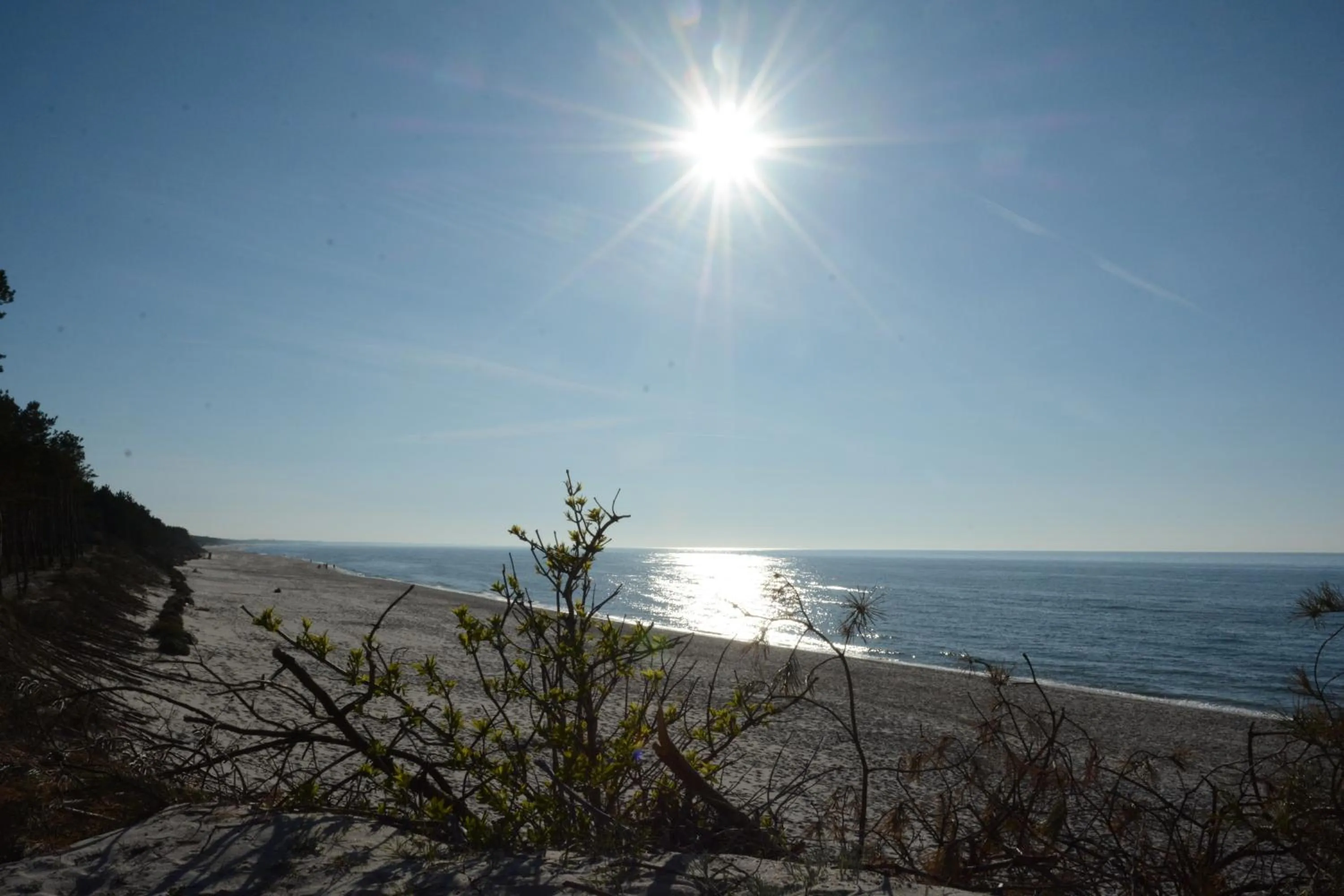 Natural landscape in Dworek Jamneński