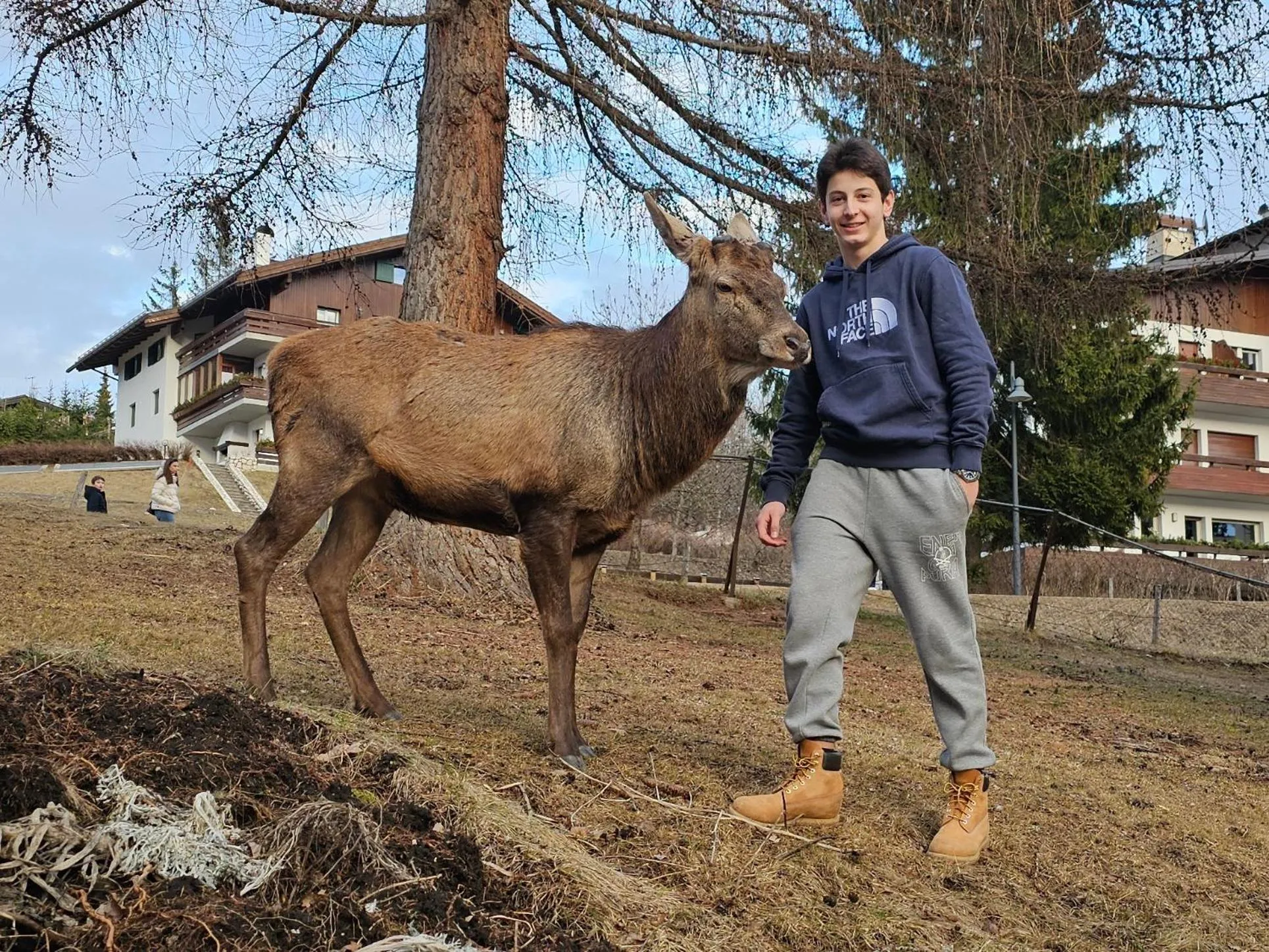 Spring in Hotel Bellaria - Cortina d'Ampezzo