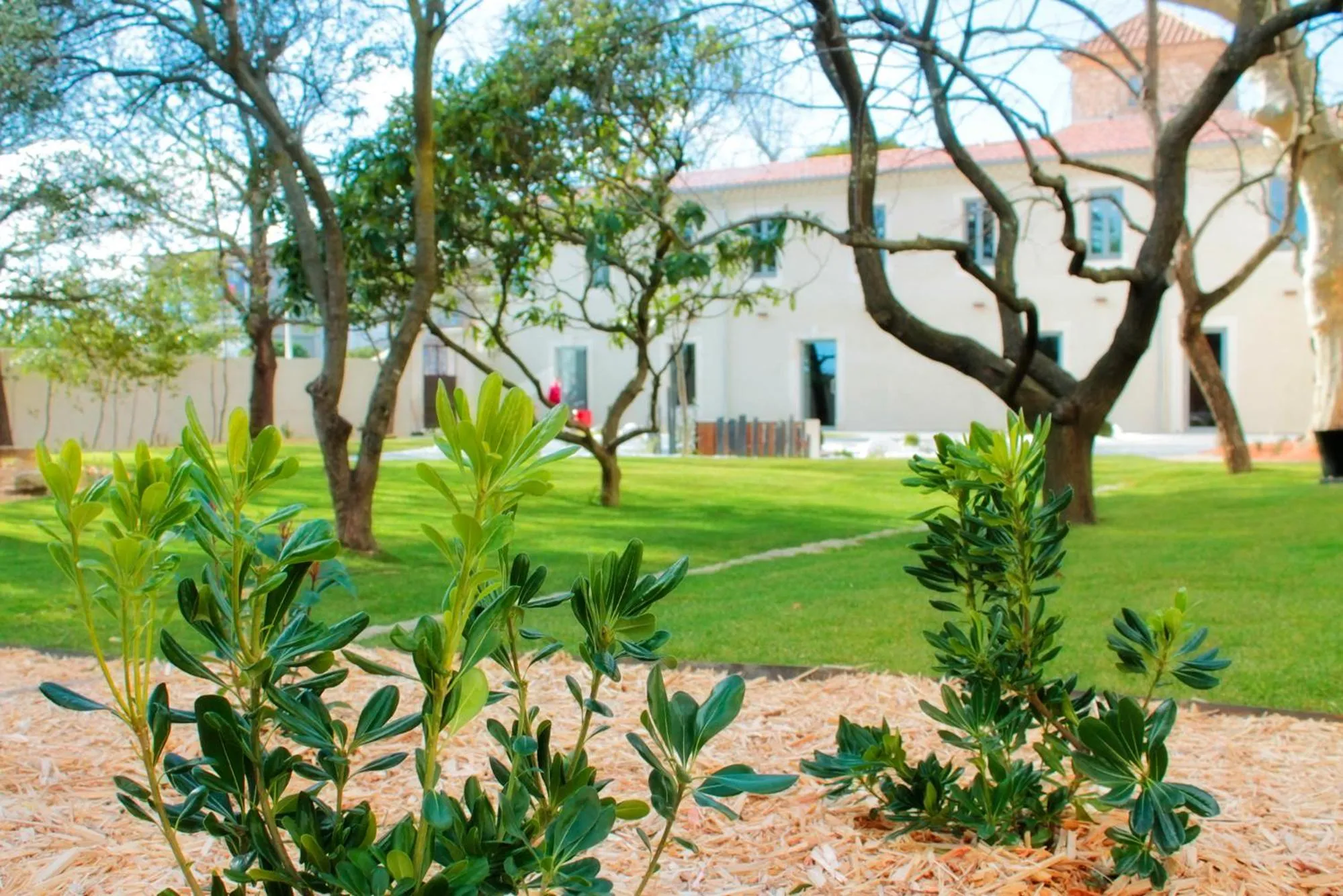 View (from property/room) in Mas de Boudan