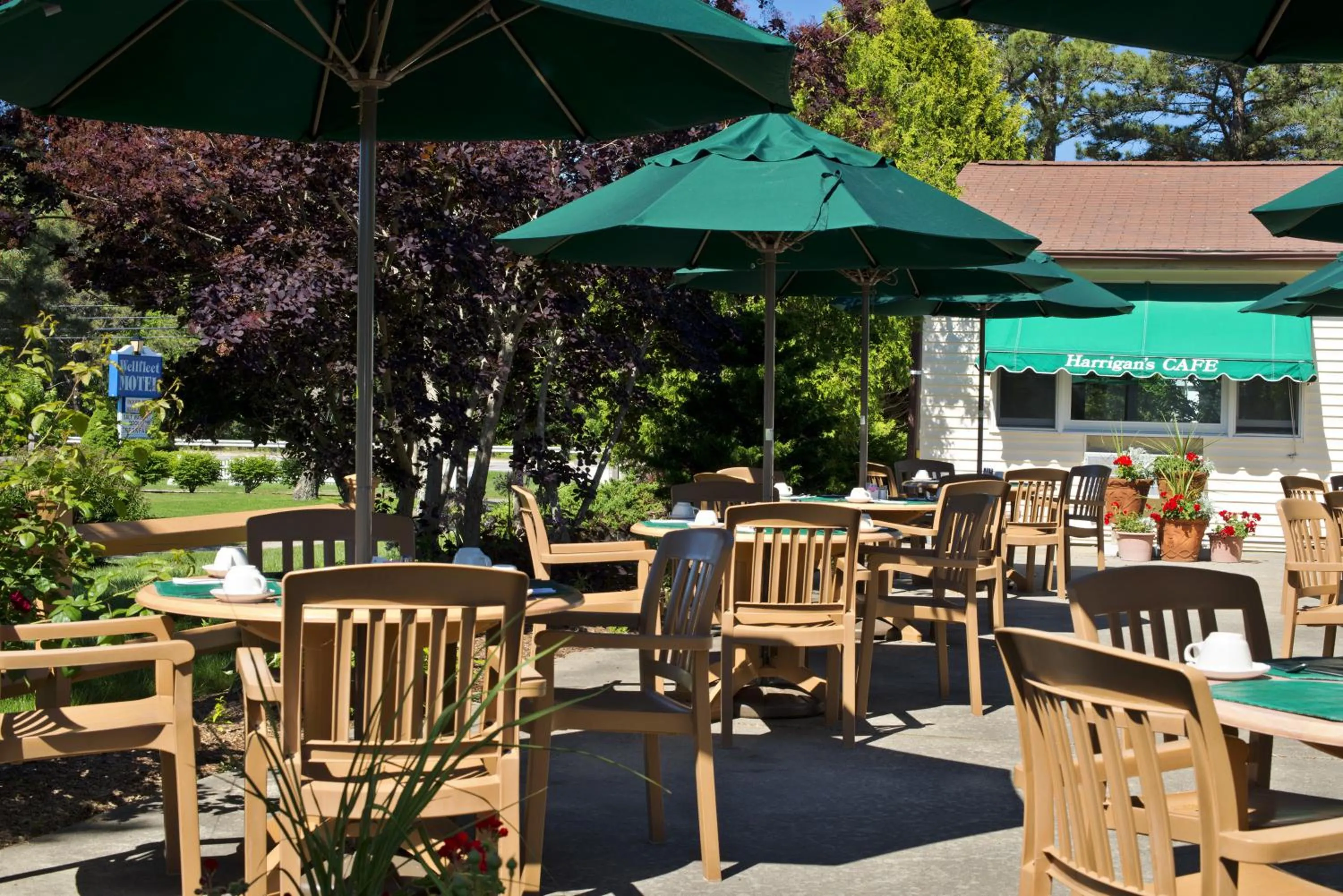 Restaurant/places to eat in Wellfleet Motel & Lodge