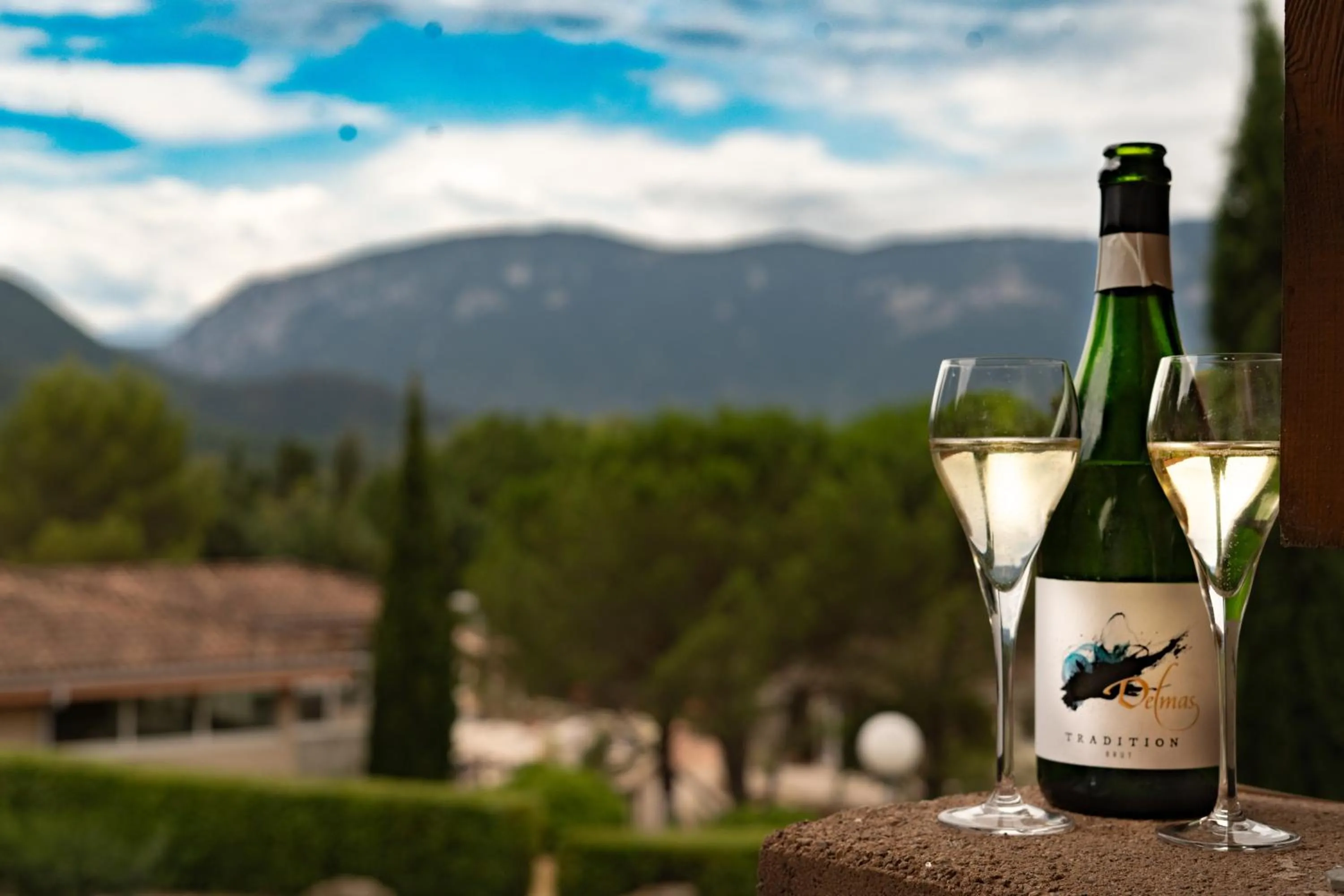 Domaine de l'Espinet