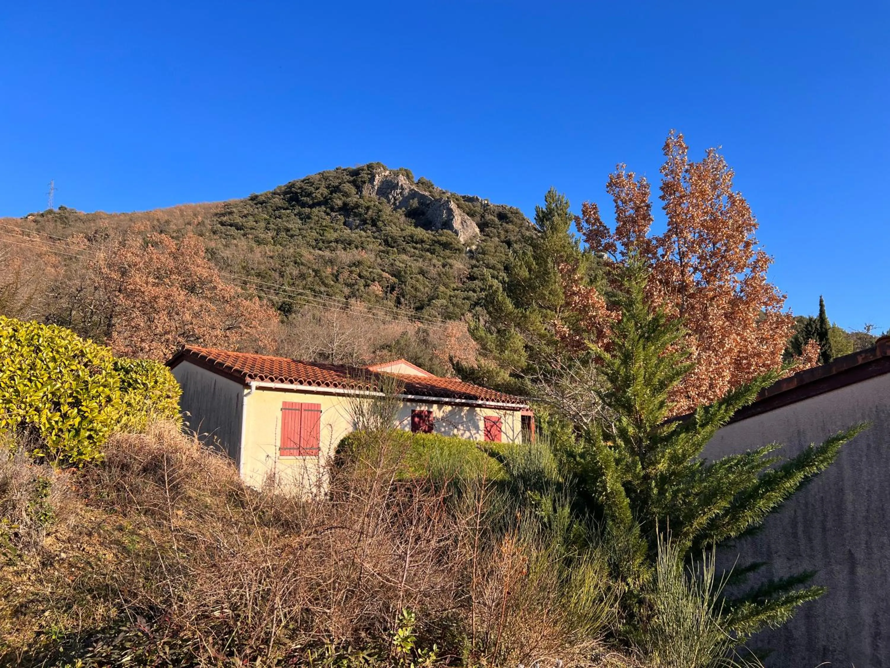 Spring in Domaine de l'Espinet