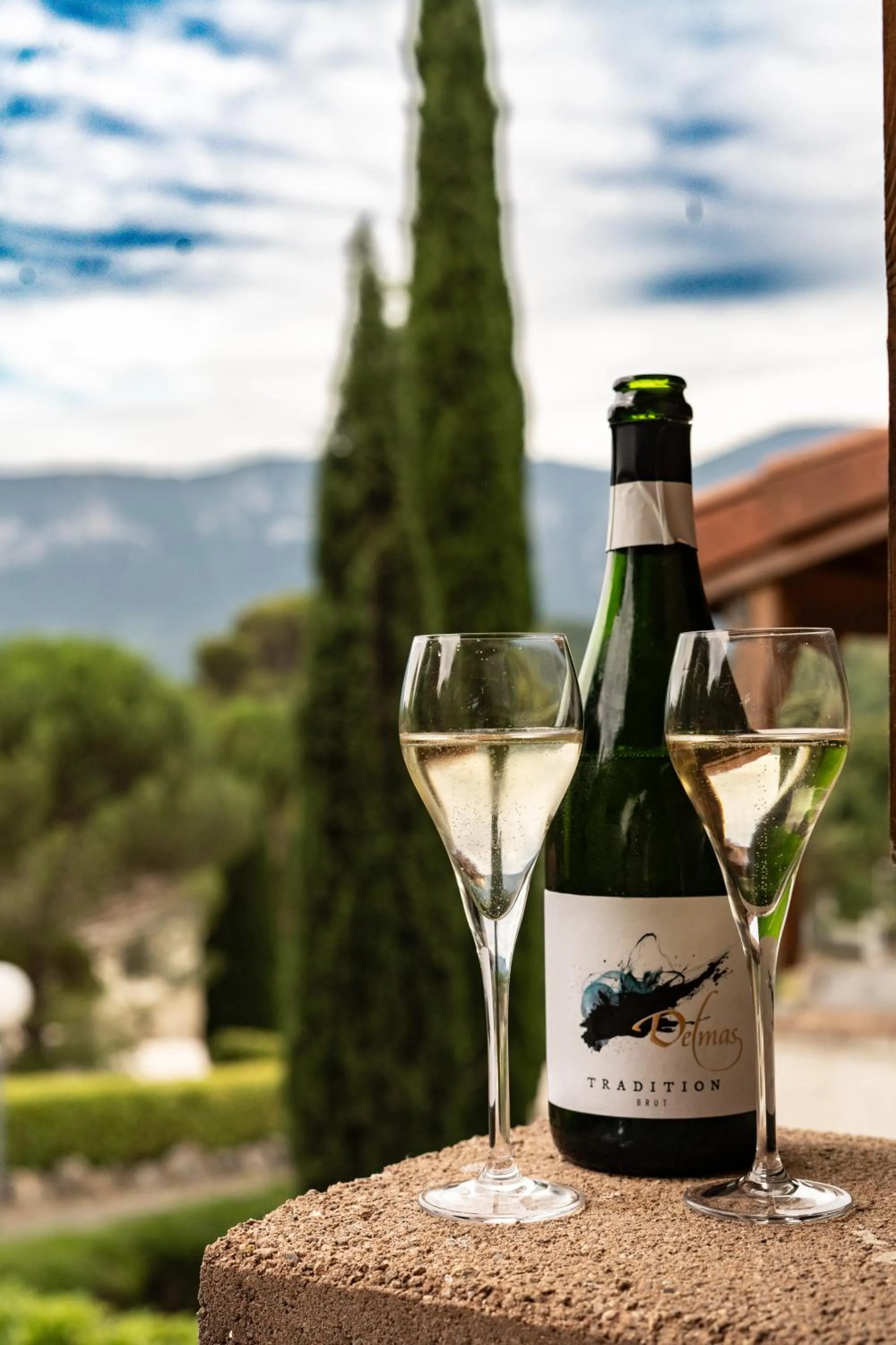 Domaine de l'Espinet