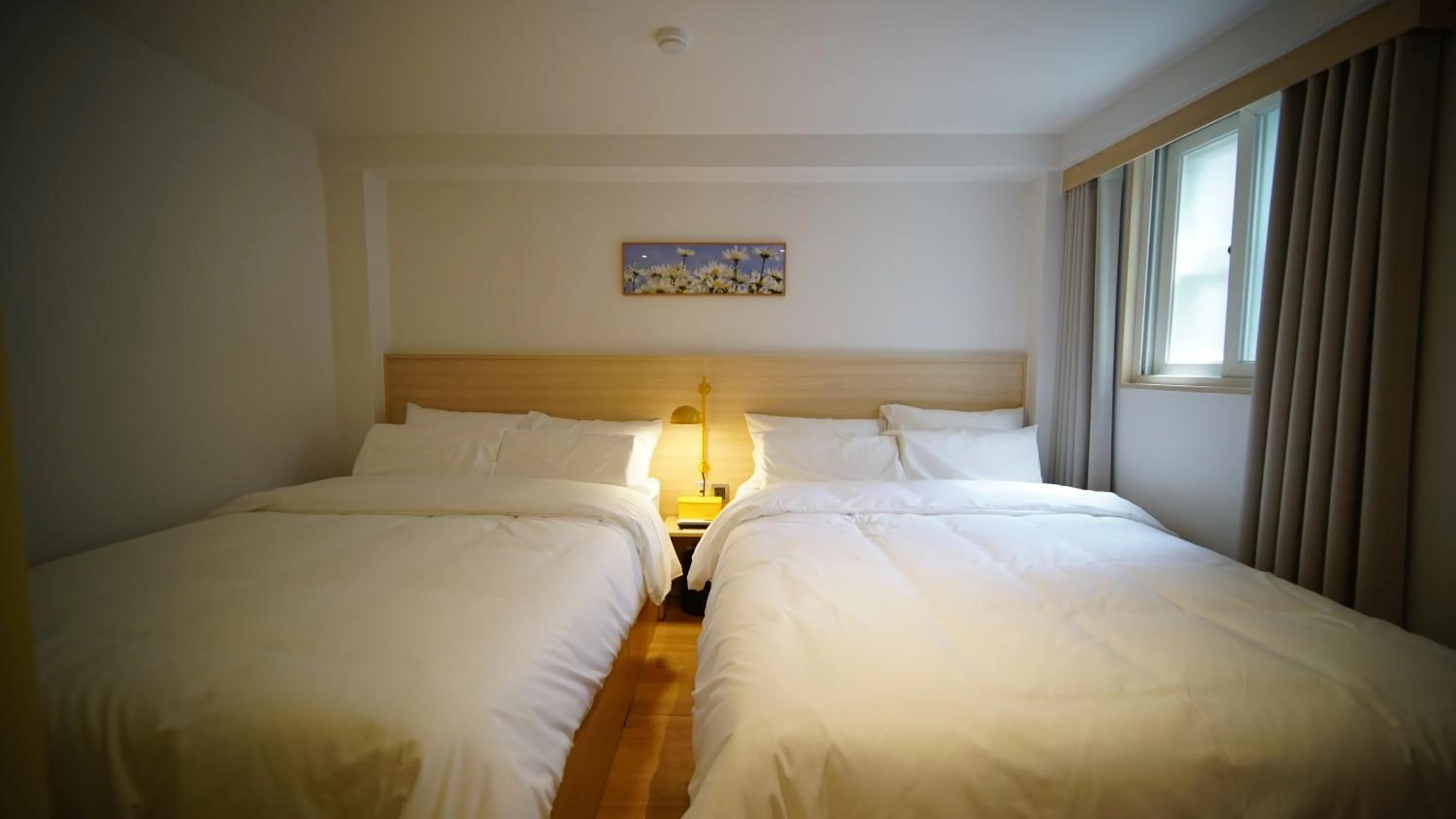 Bed in Myeongdong Guesthouse Como