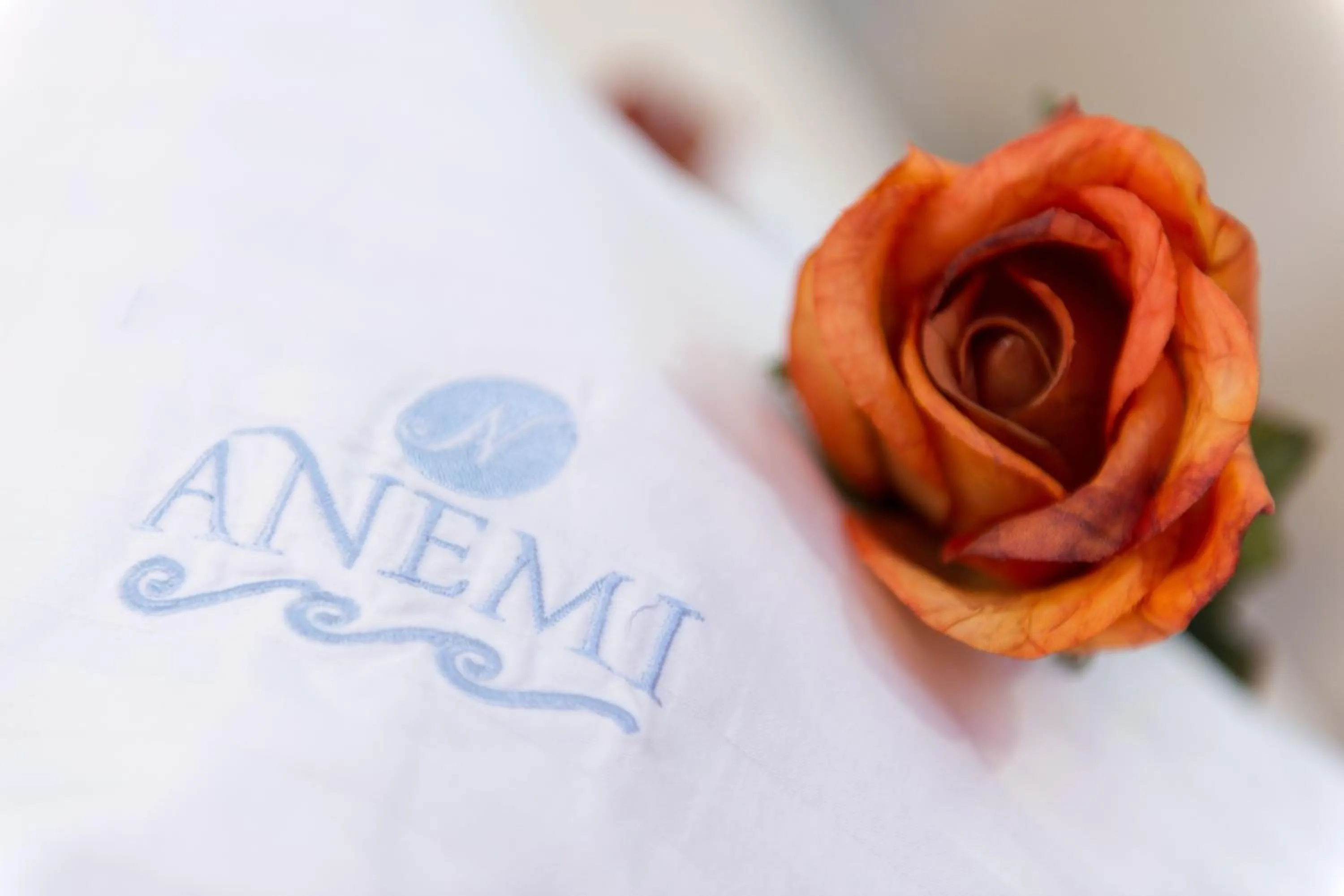 Property logo or sign in Anemi Leros Apartments