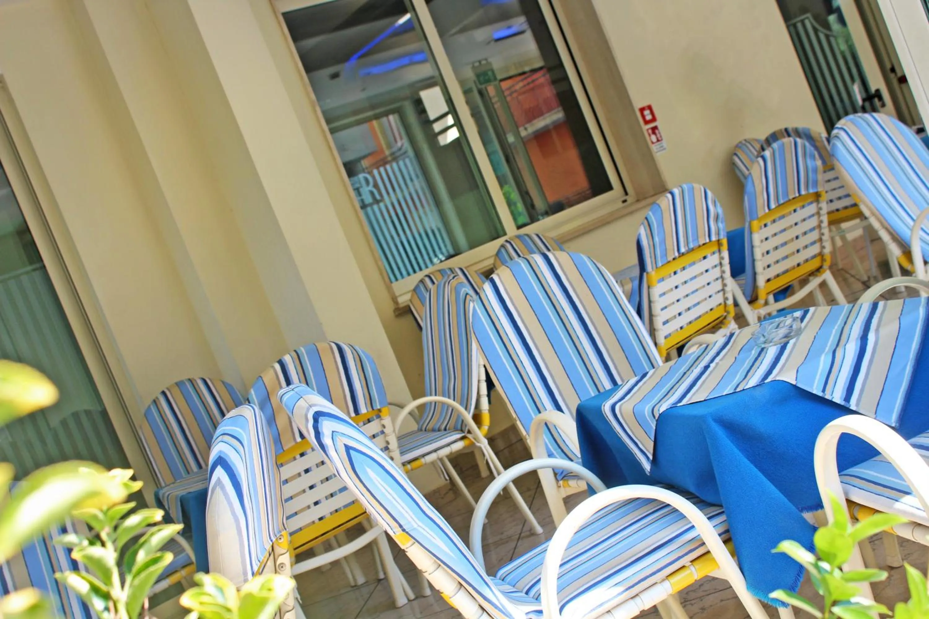 Patio in Hotel Royal