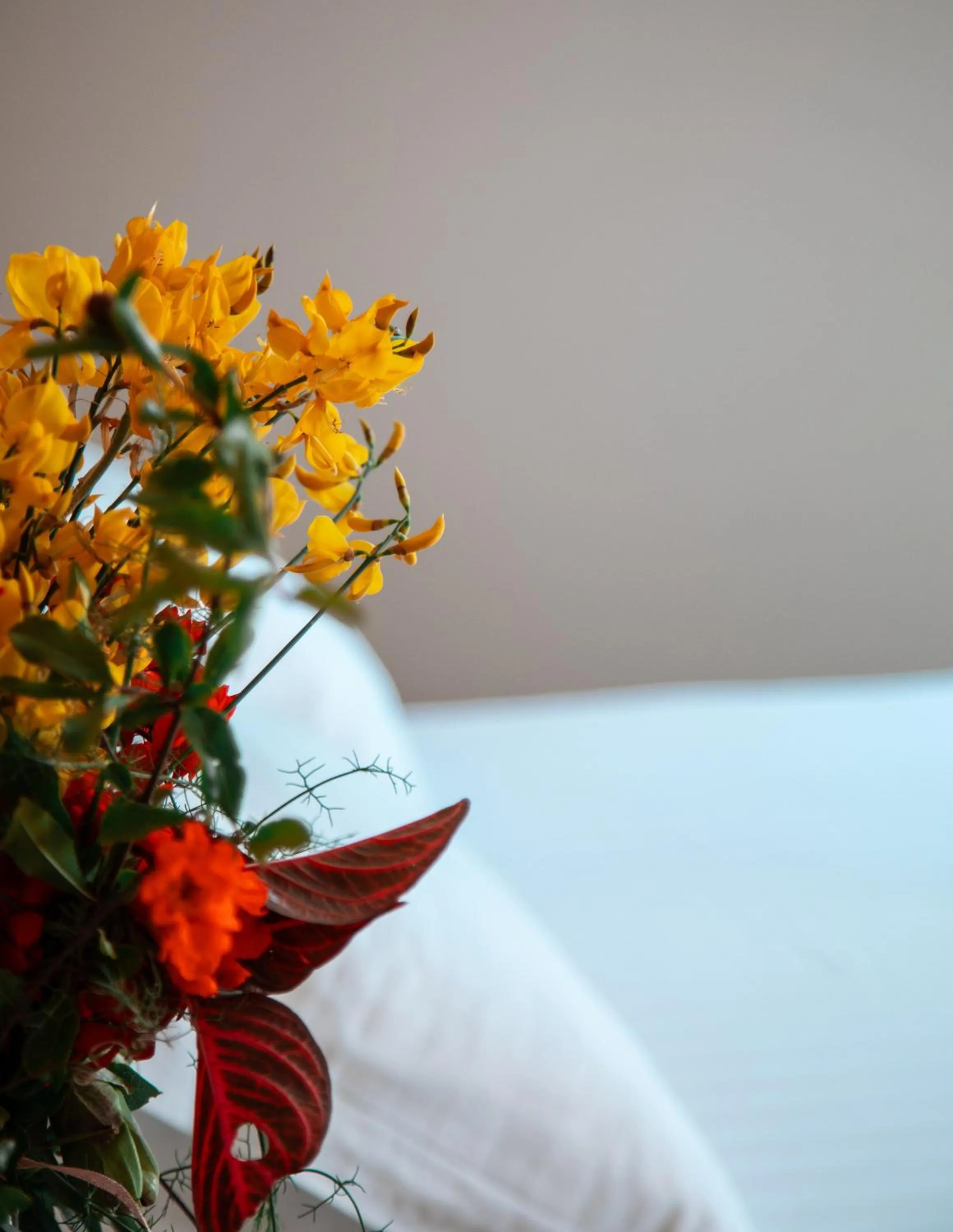 Photo of the whole room, Bed in Vila e Bardhe Butique Hotel