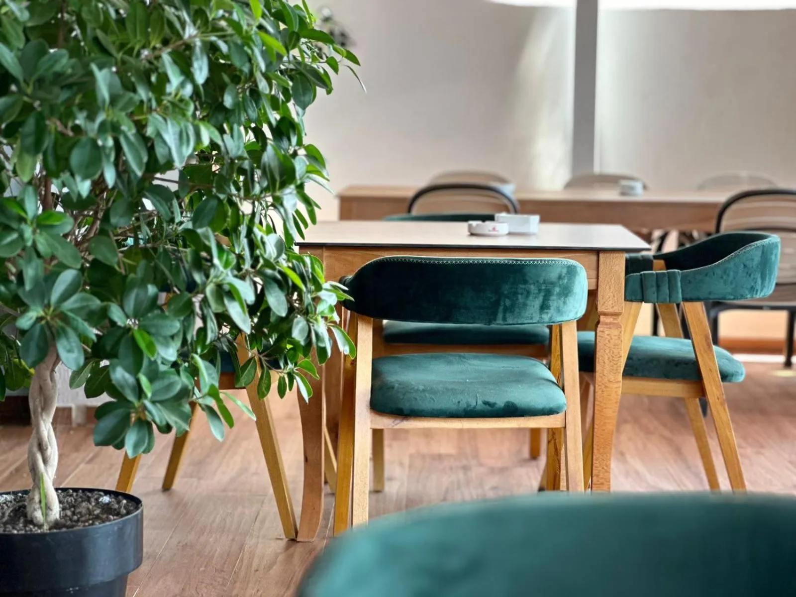 Restaurant/places to eat in Vila e Bardhe Butique Hotel