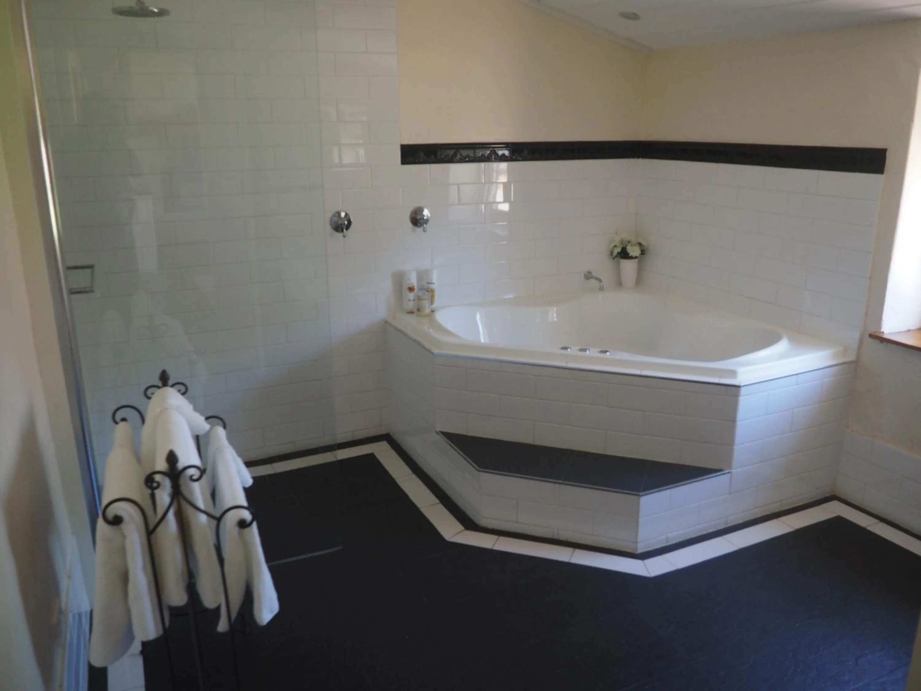 Shower in Cobblers Cottage B&B