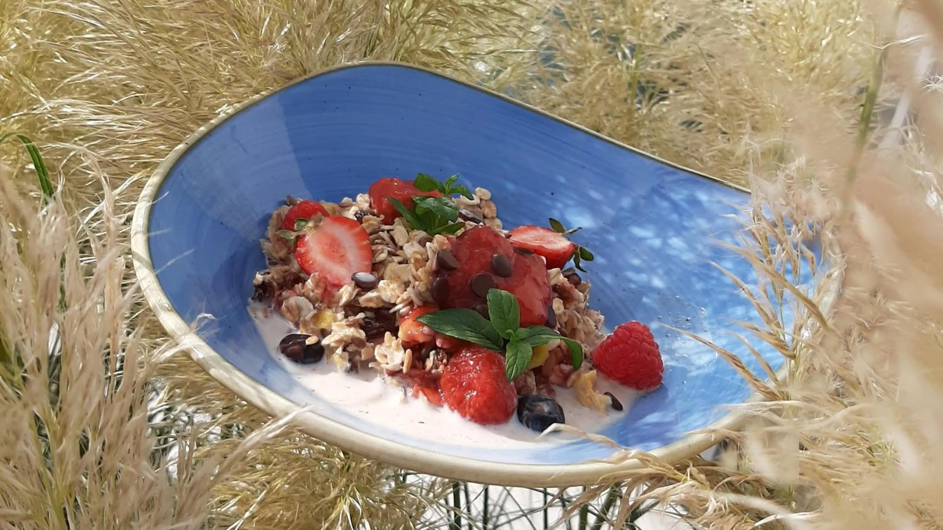 Day in Hotel SKAL Medi SPA & Resort