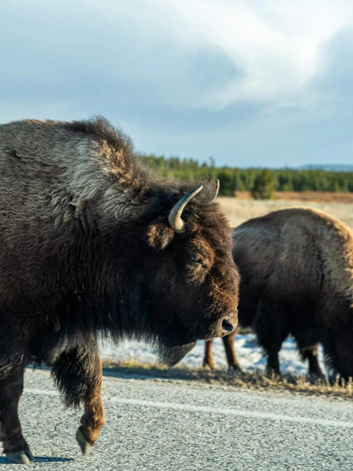 Natural landscape in One&Only Moonlight Basin