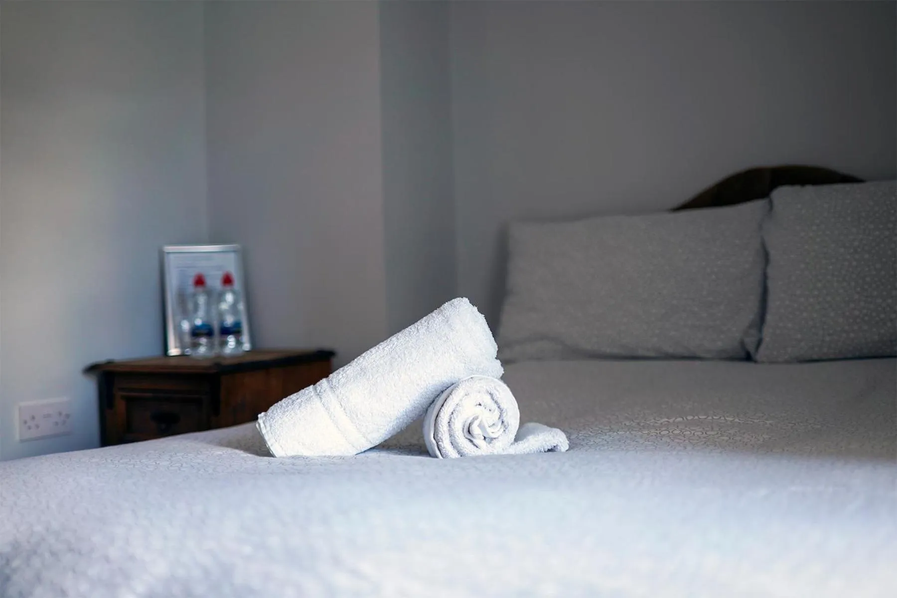 Bed in The Woodquay Hostel