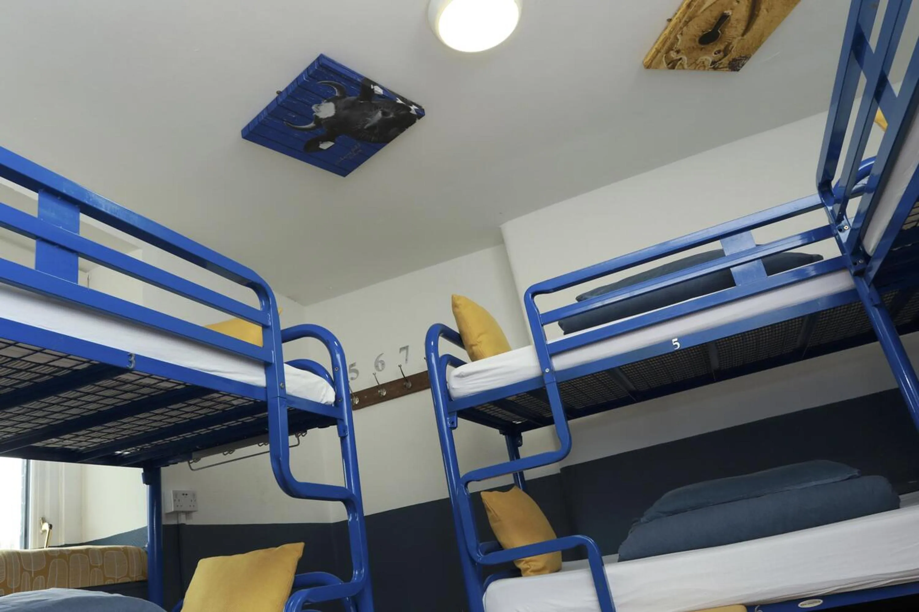 Bed in The Woodquay Hostel