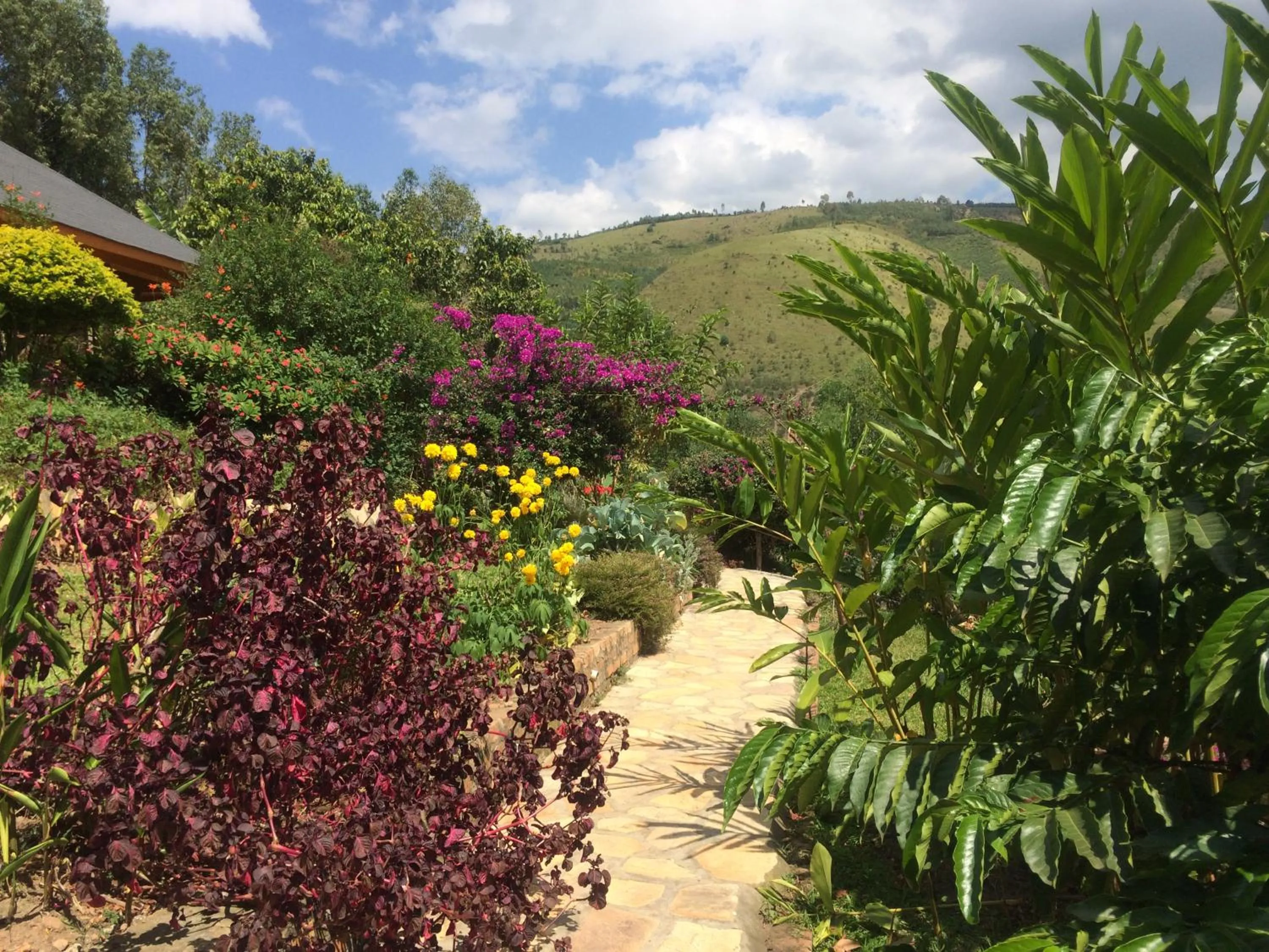 Nyore Hillside Retreat