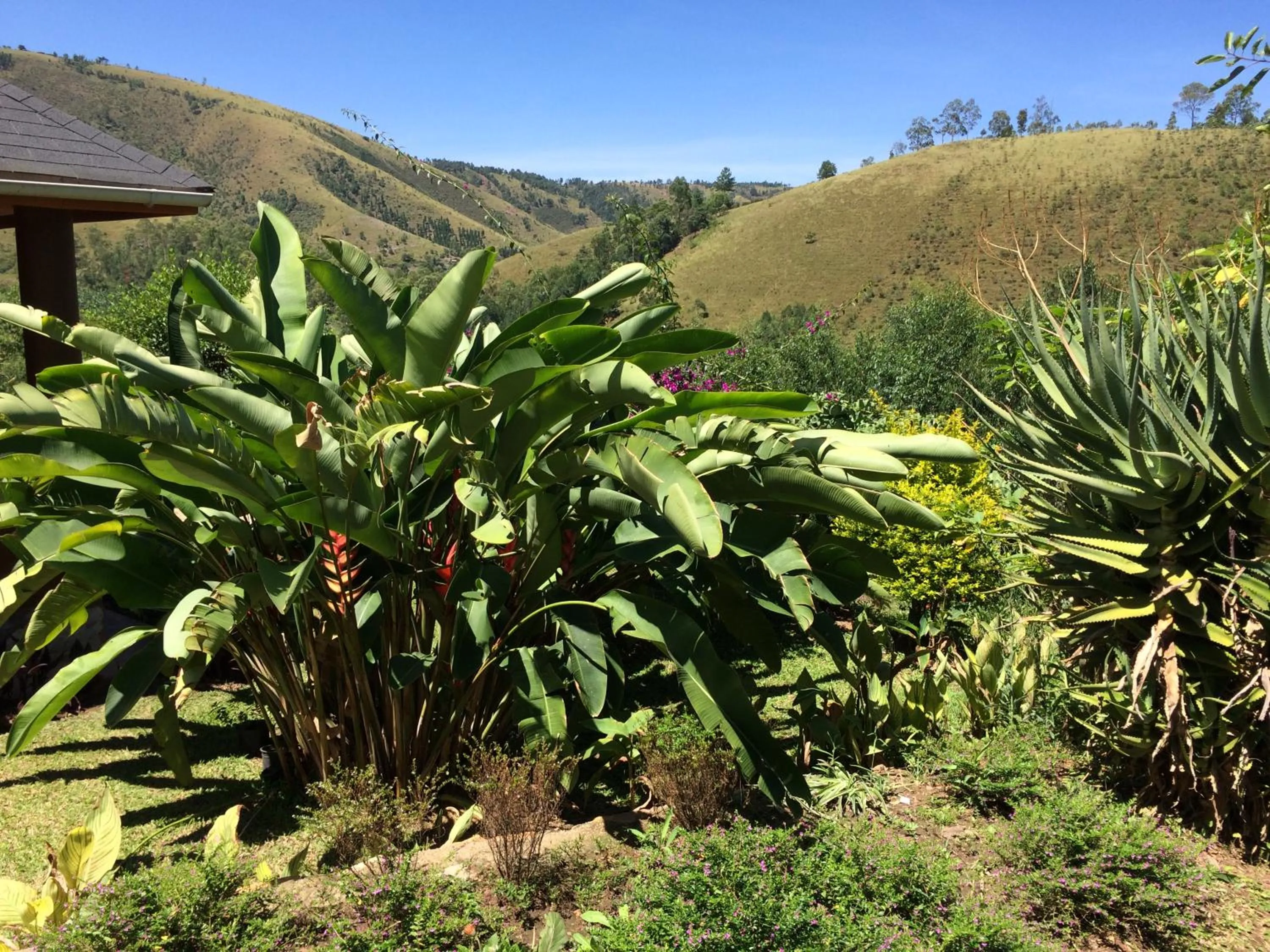 Nyore Hillside Retreat