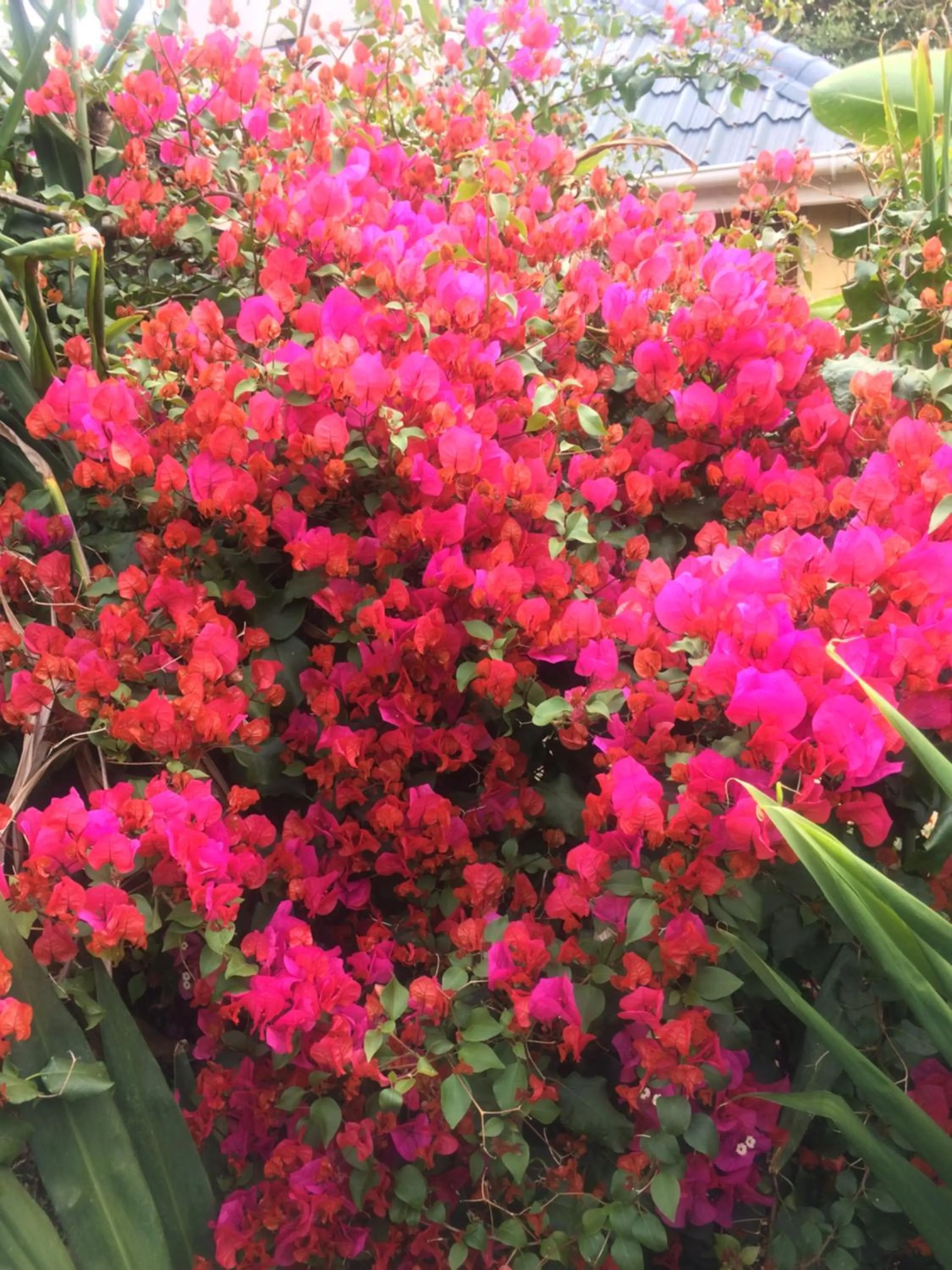 Nyore Hillside Retreat