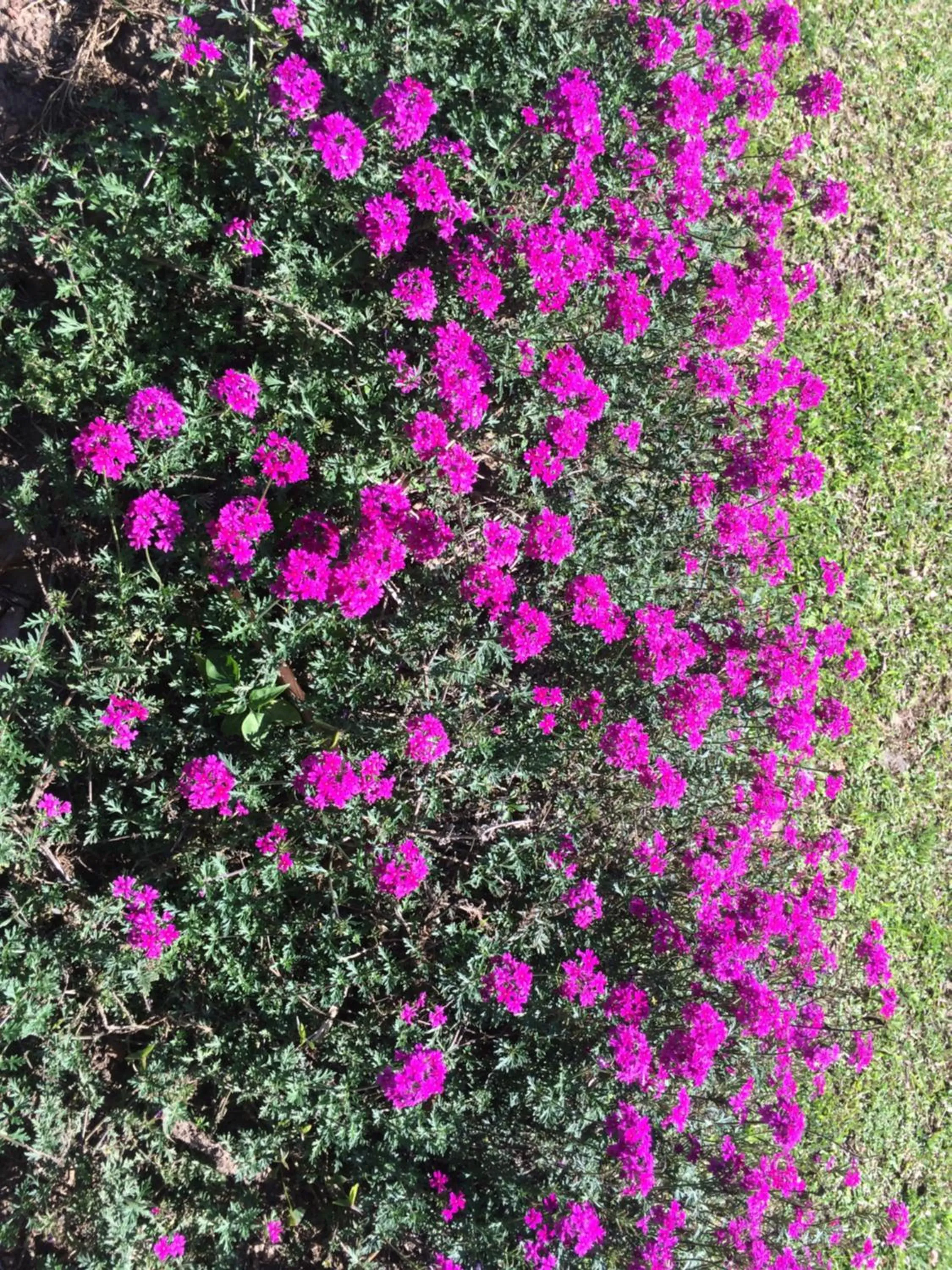 Nyore Hillside Retreat