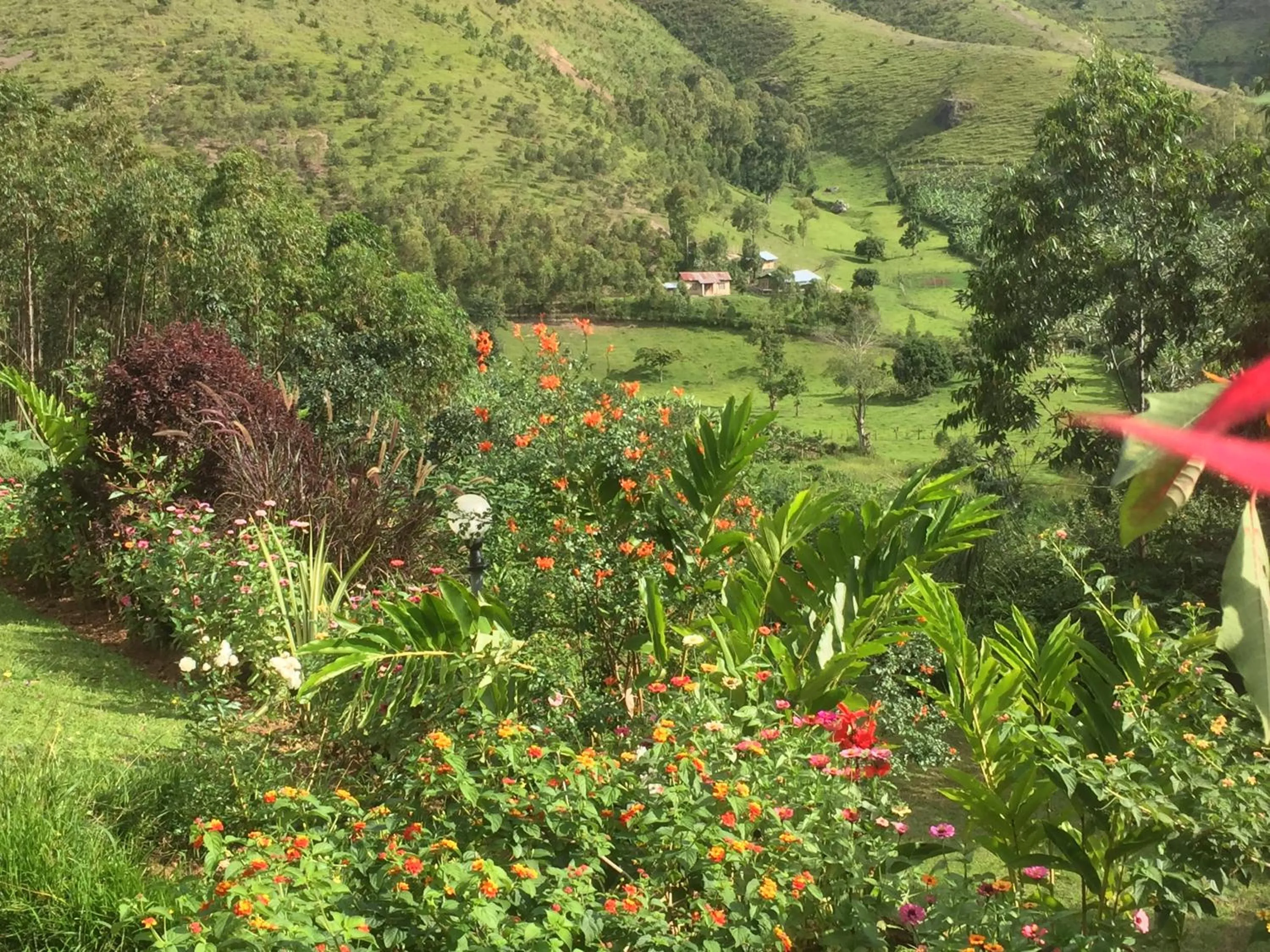 Other in Nyore Hillside Retreat