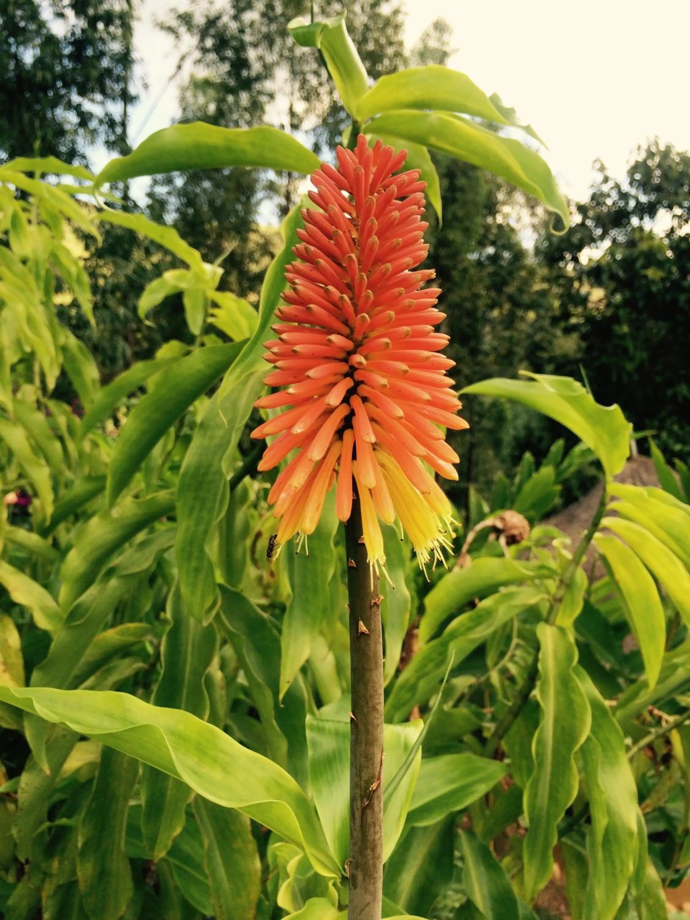 Nyore Hillside Retreat