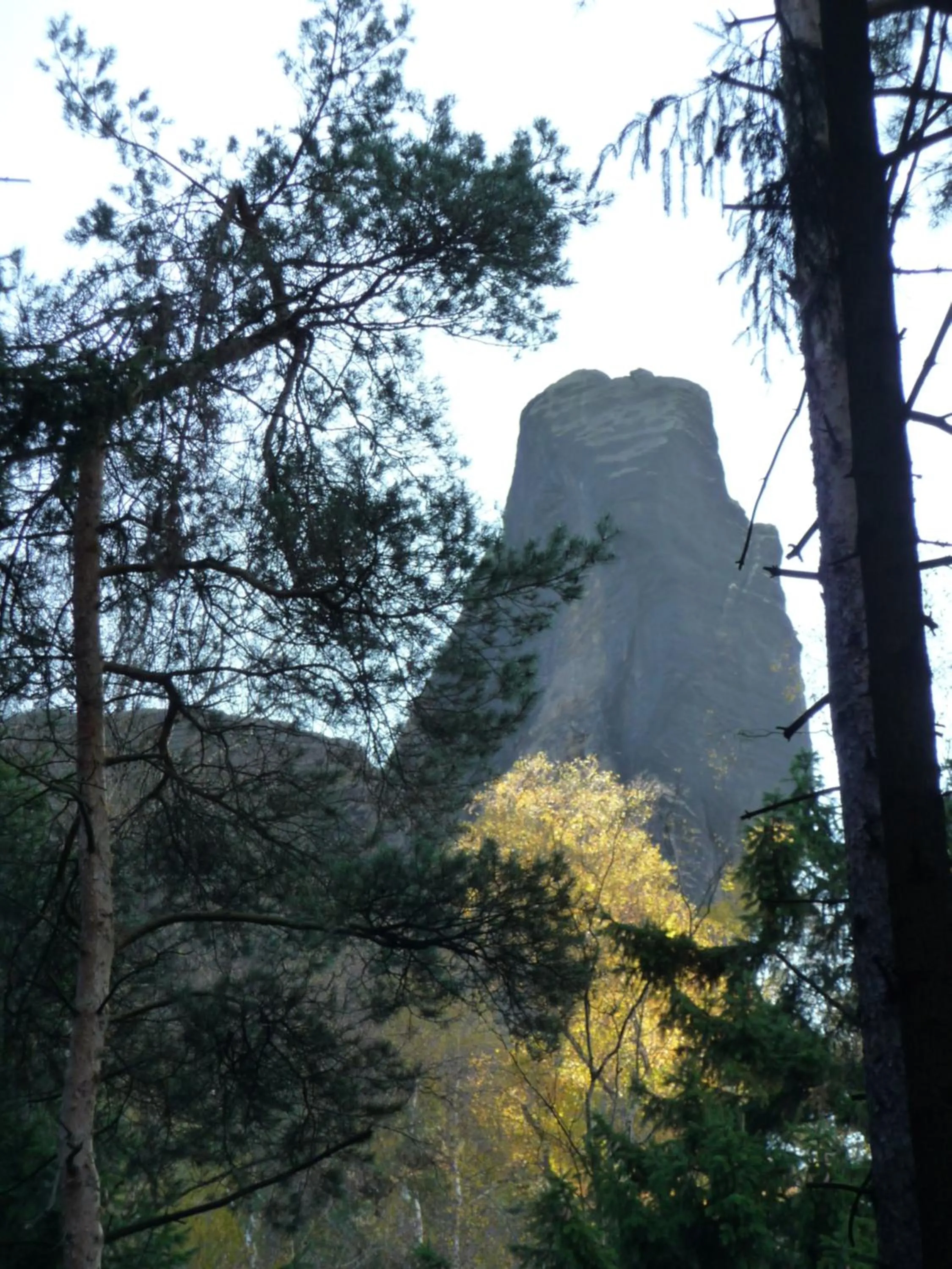 Natural landscape in Hotel Brückenschänke